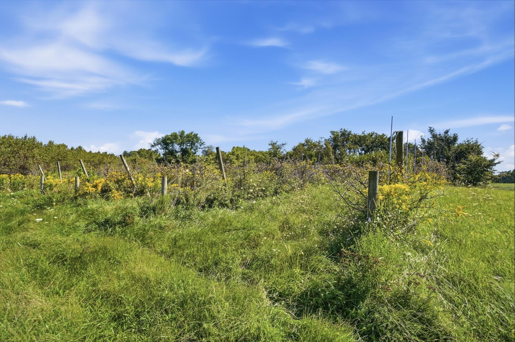5517 Twp Rd 117 Property Photo 66