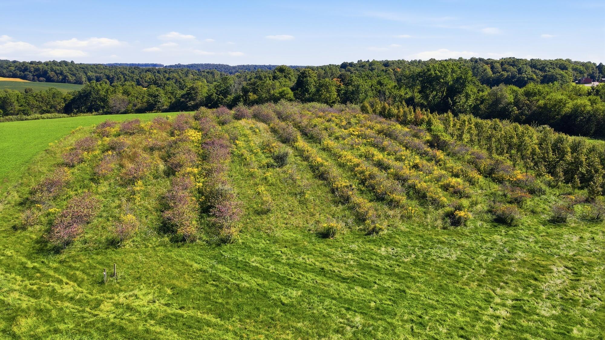 5517 Twp Rd 117 Property Photo 68