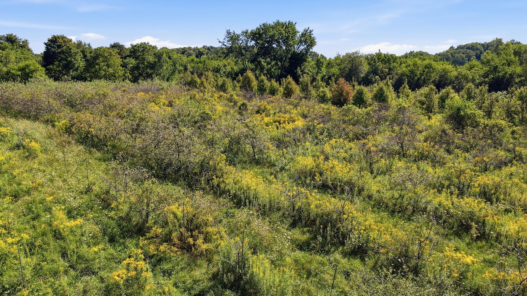 5517 Twp Rd 117 Property Photo 69
