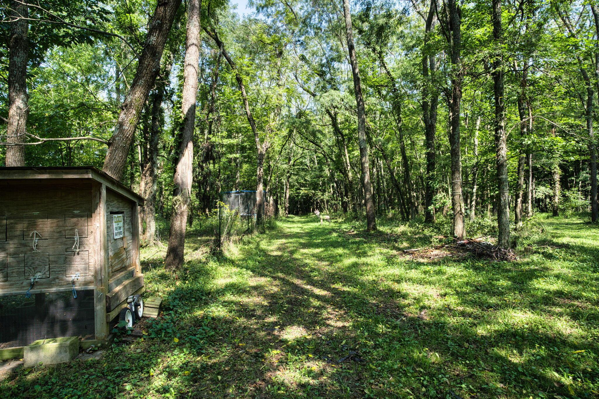 7626 White Chapel Road Se Property Photo 48