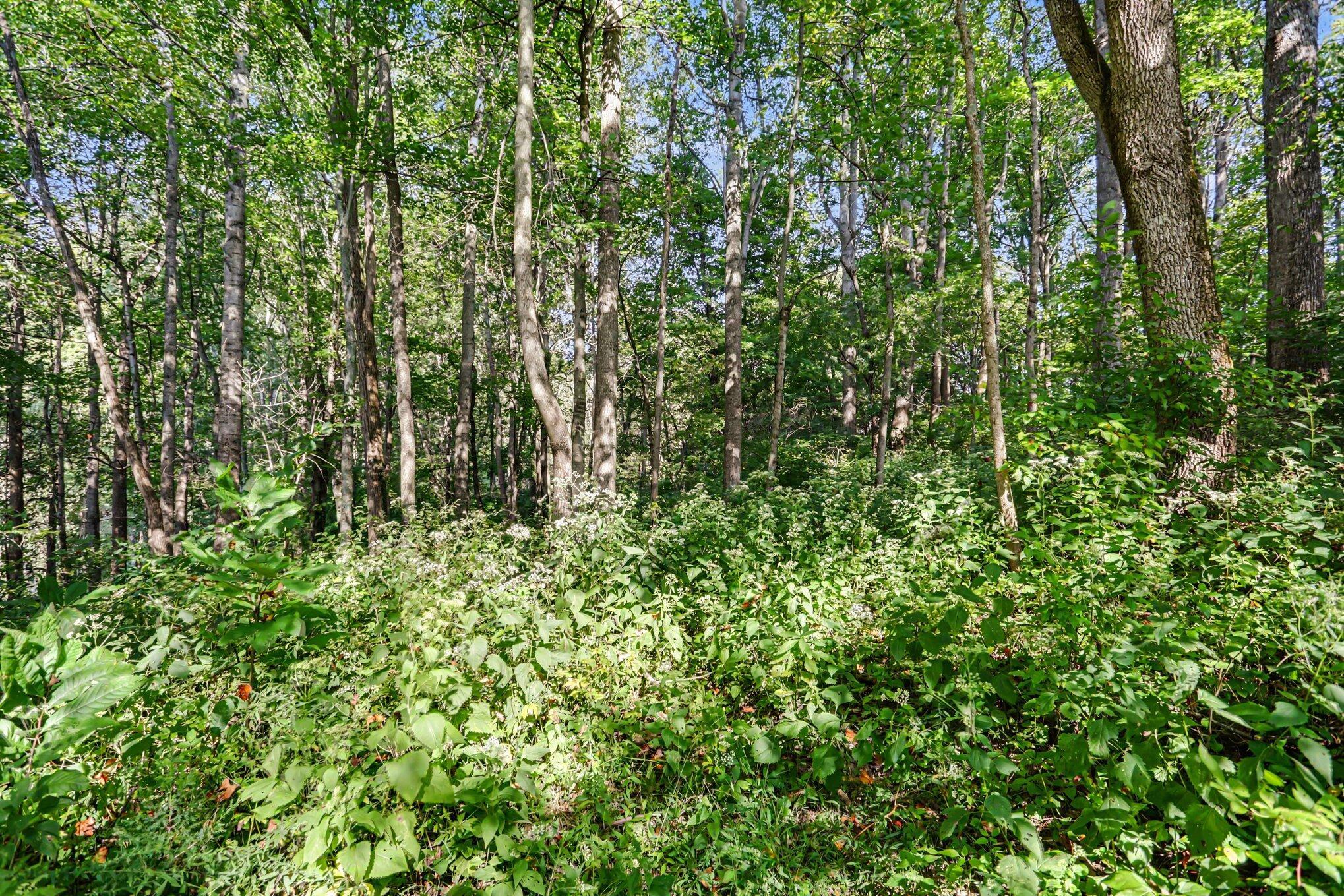 180 E Hydell Road Property Photo 29