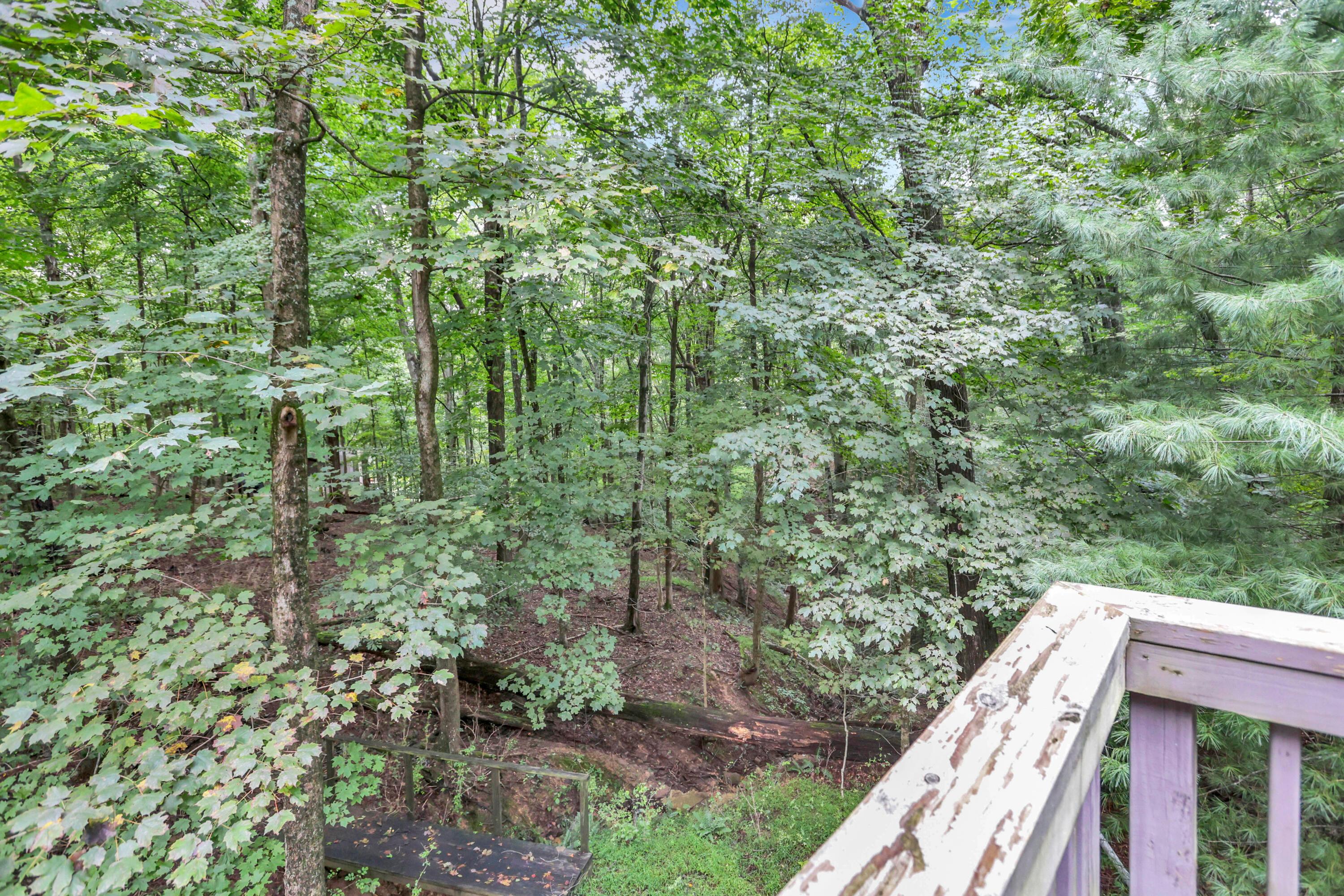 191 Apache Lane Property Photo 54