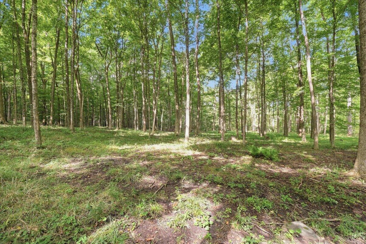 8723 Keys Road Property Photo 54