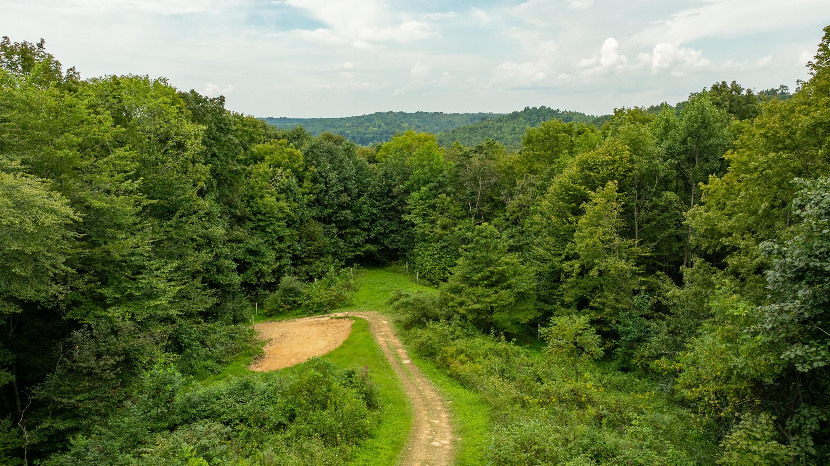 10980 Twist Tail Road Property Photo 59