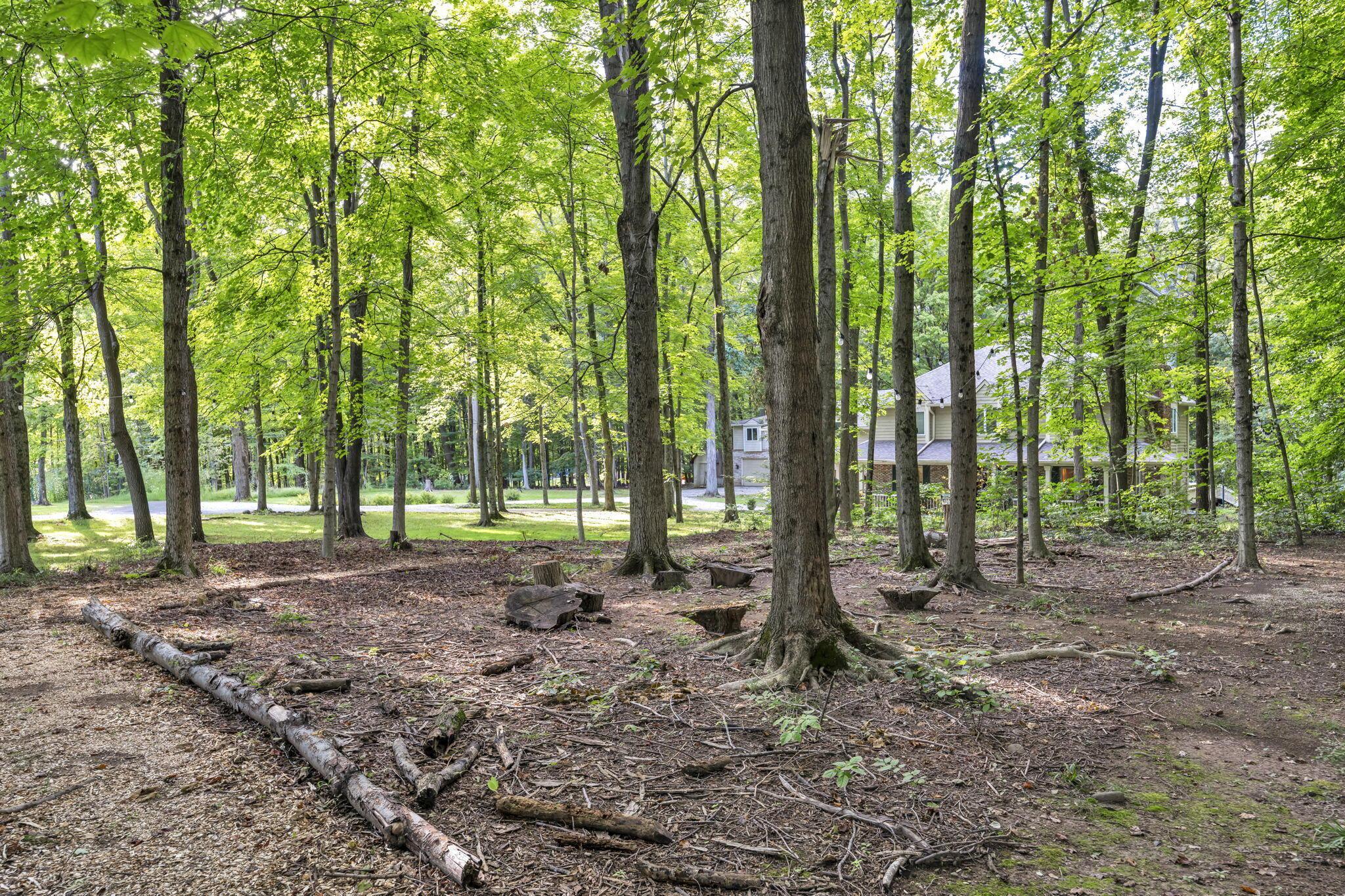 5101 Hawthorne Valley Drive Property Photo 111