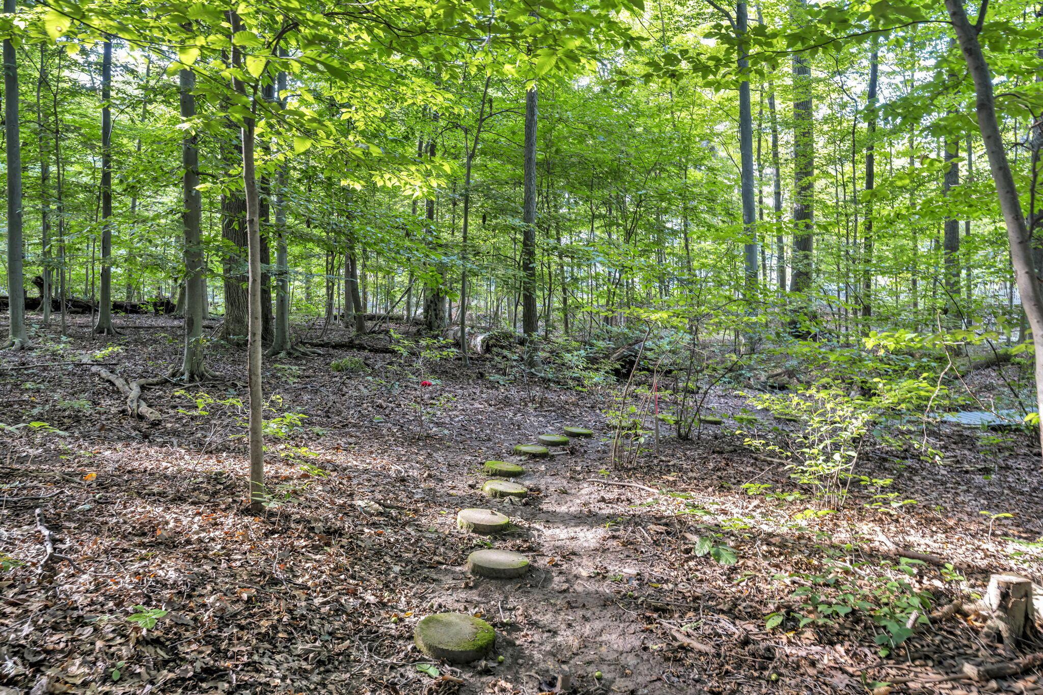 5101 Hawthorne Valley Drive Property Photo 112