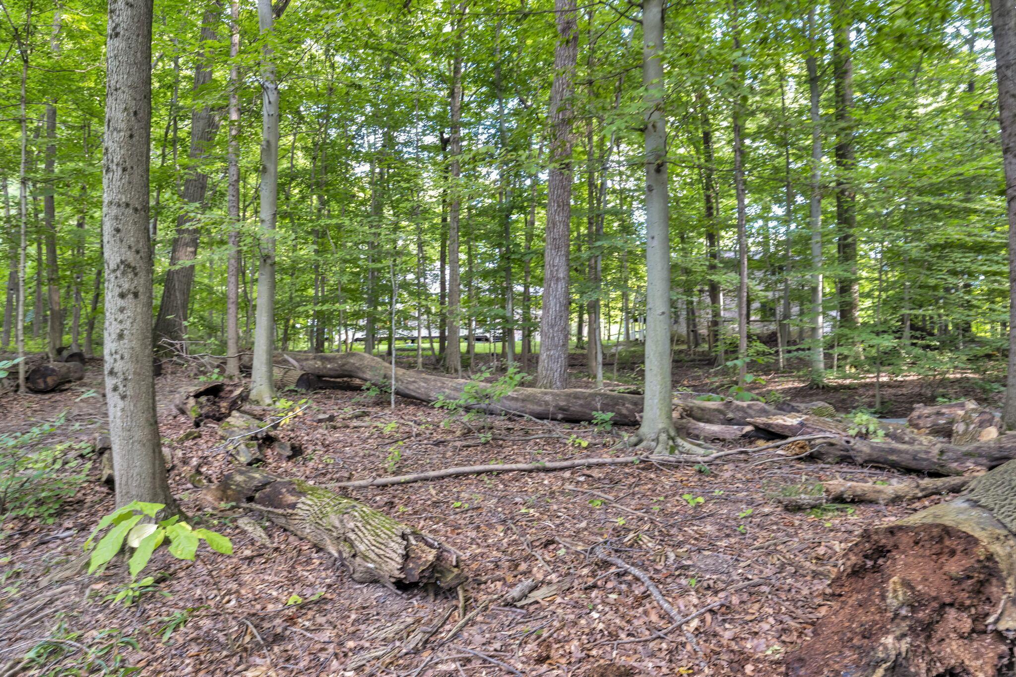 5101 Hawthorne Valley Drive Property Photo 114