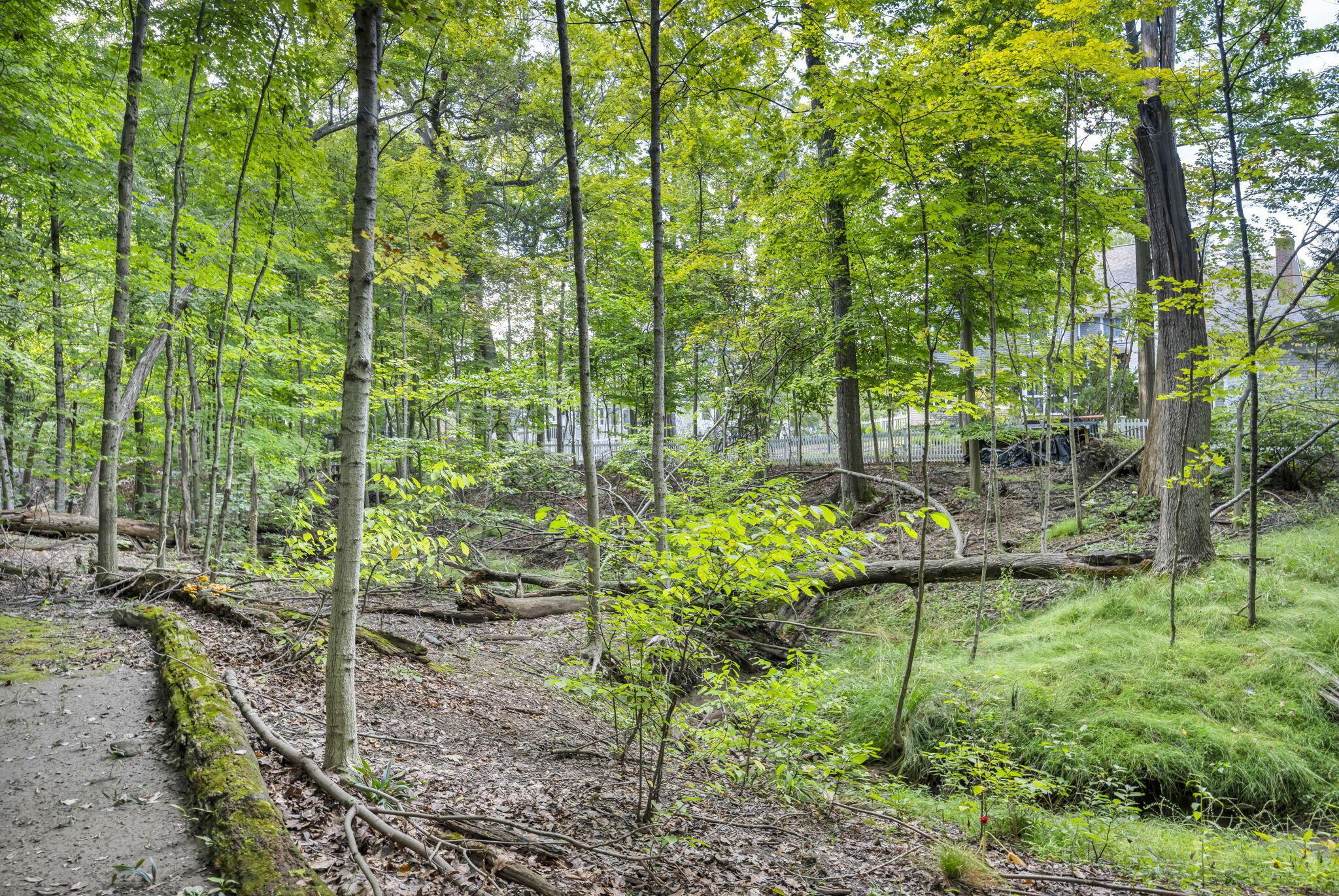 5101 Hawthorne Valley Drive Property Photo 115