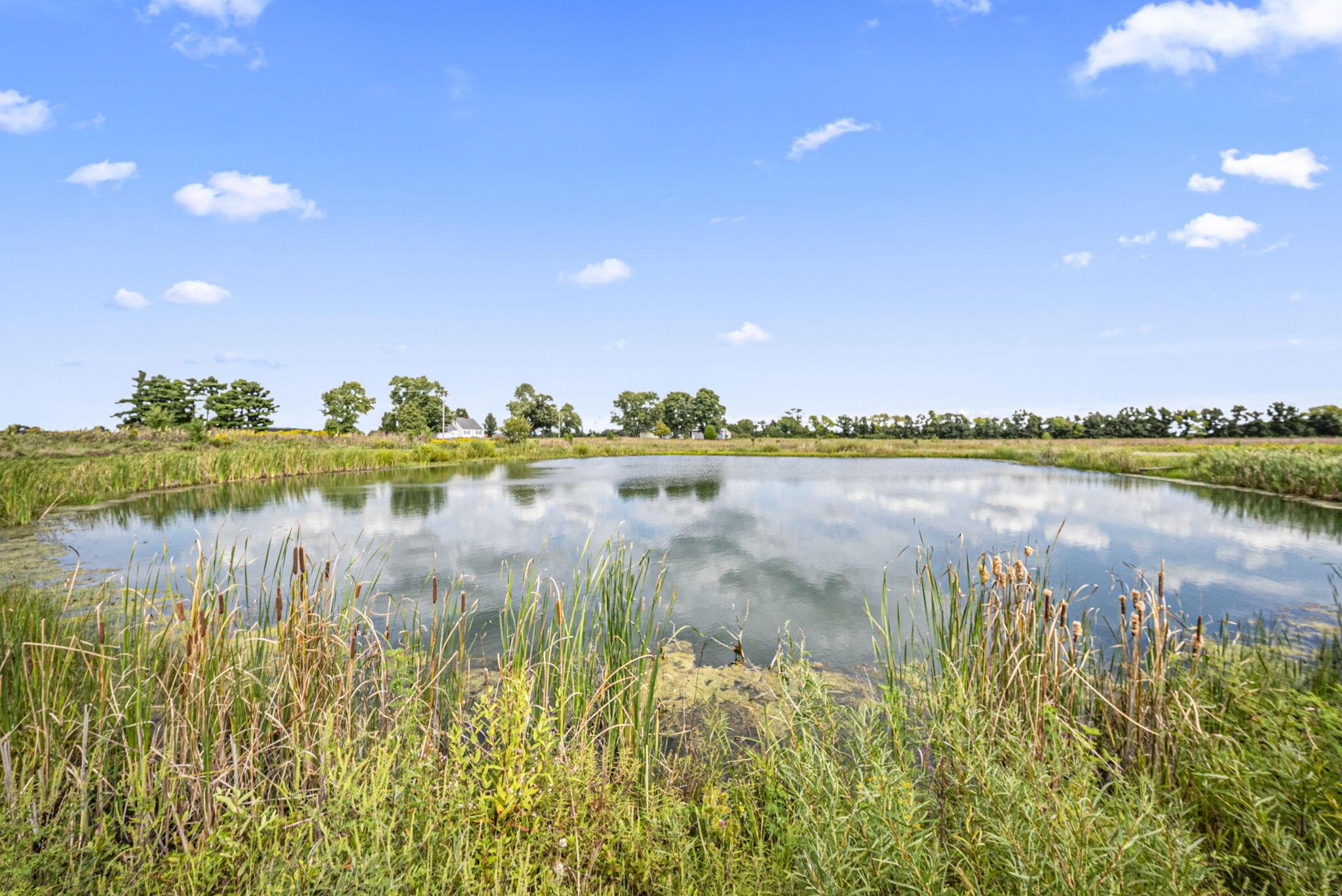 0 Likens Road Property Photo 25