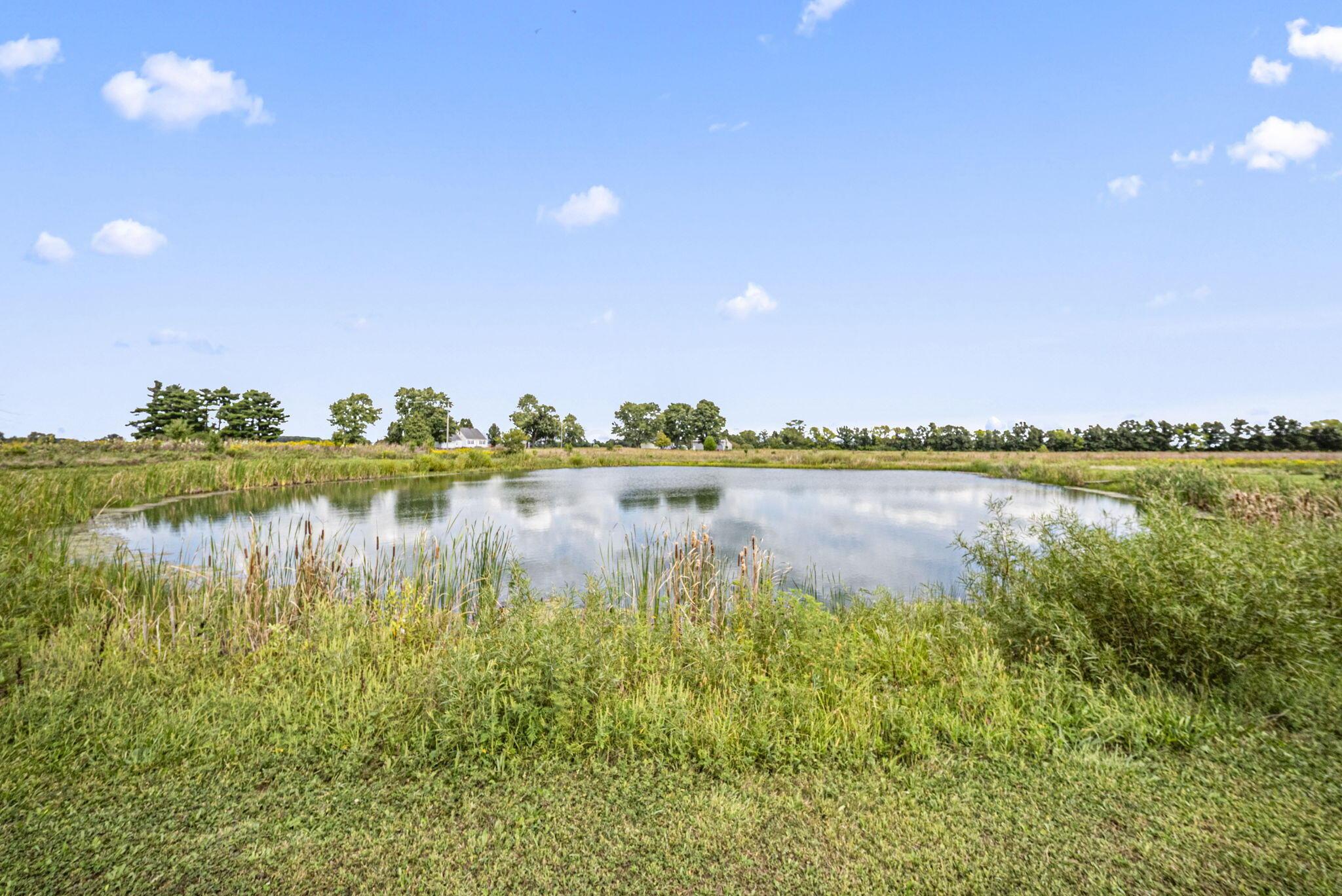 0 Likens Road Property Photo 26