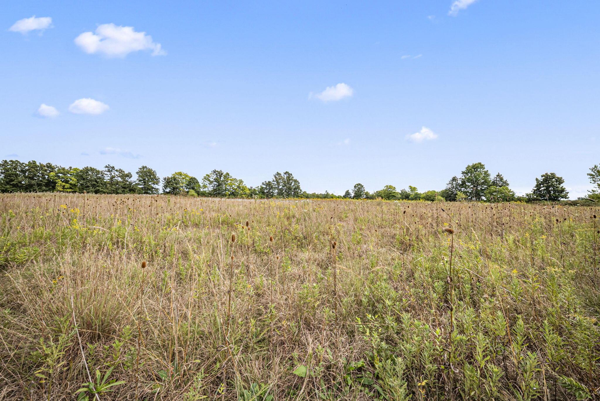 0 Likens Road Property Photo 33