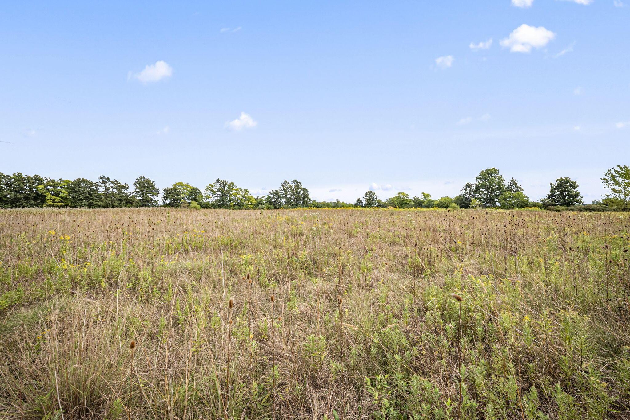 0 Likens Road Property Photo 34