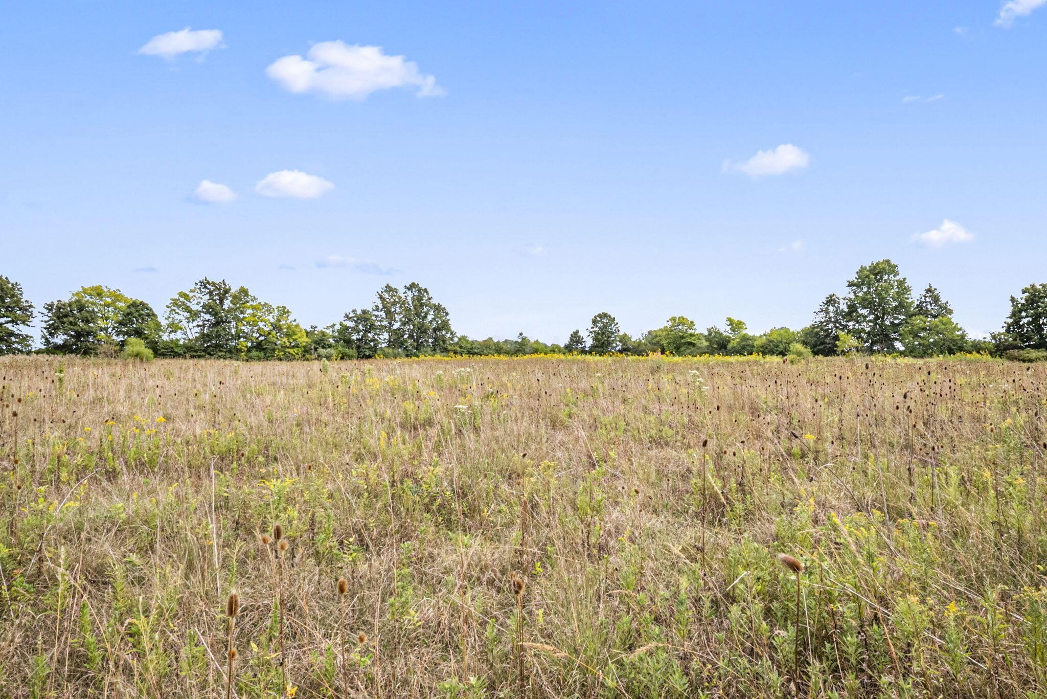 0 Likens Road Property Photo 35