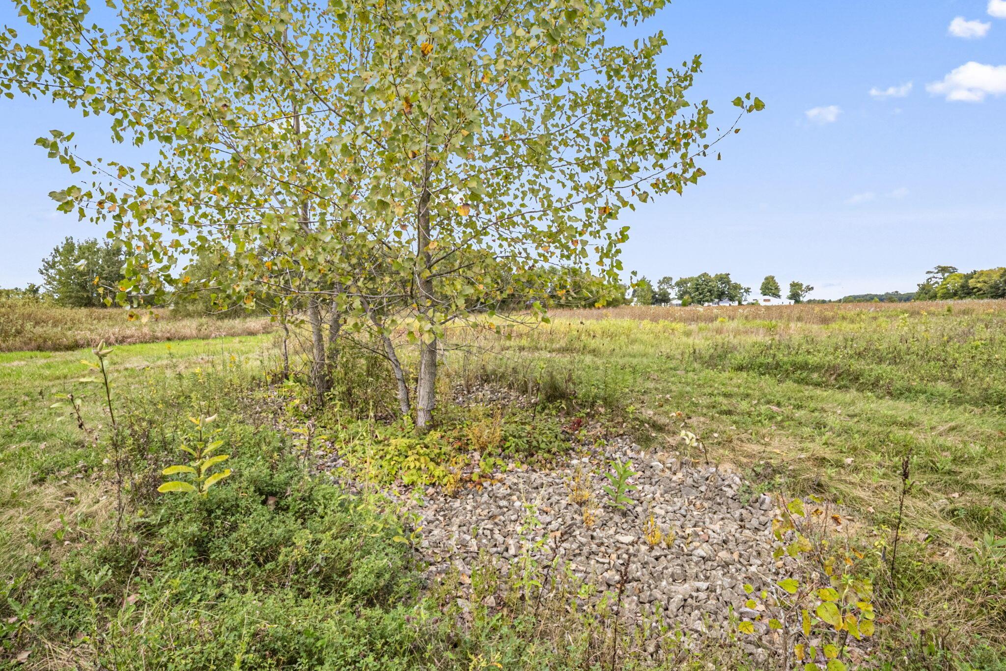 0 Likens Road Property Photo 39