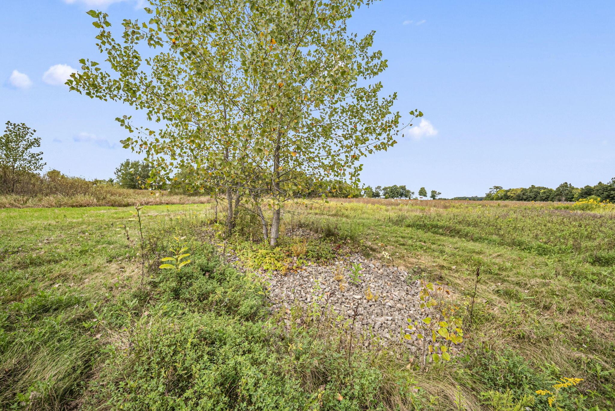 0 Likens Road Property Photo 40