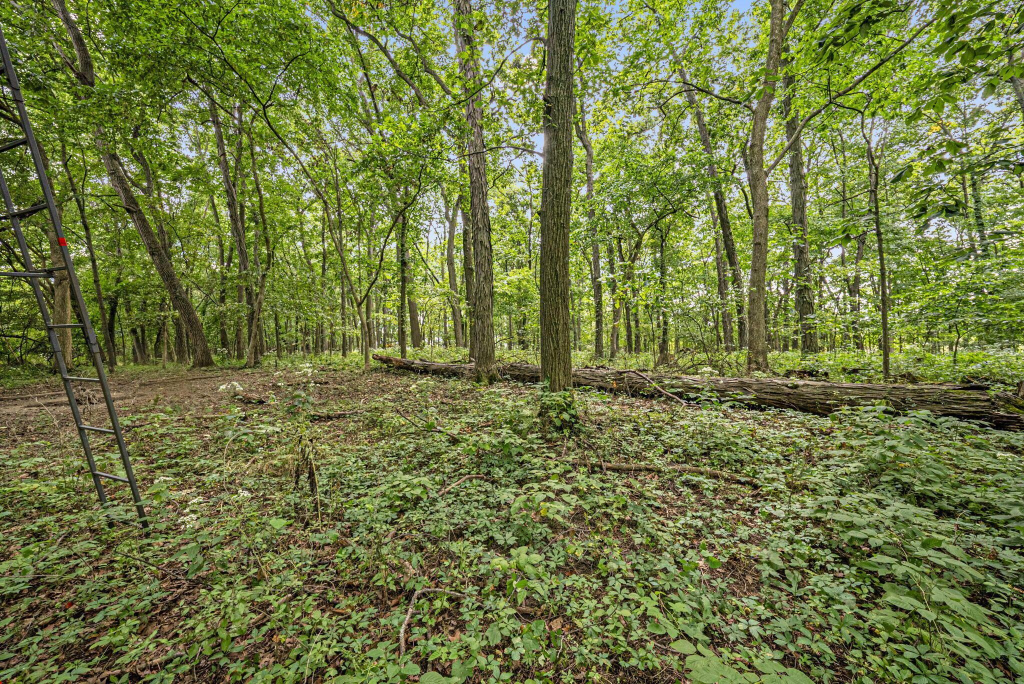 0 Likens Road Property Photo 51