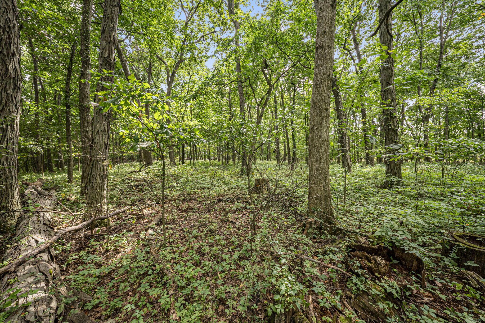 0 Likens Road Property Photo 52