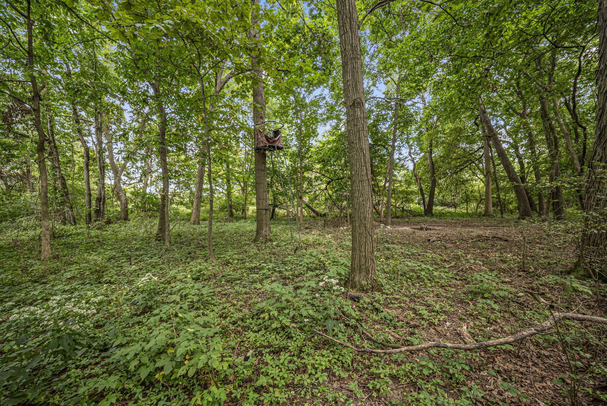 0 Likens Road Property Photo 53