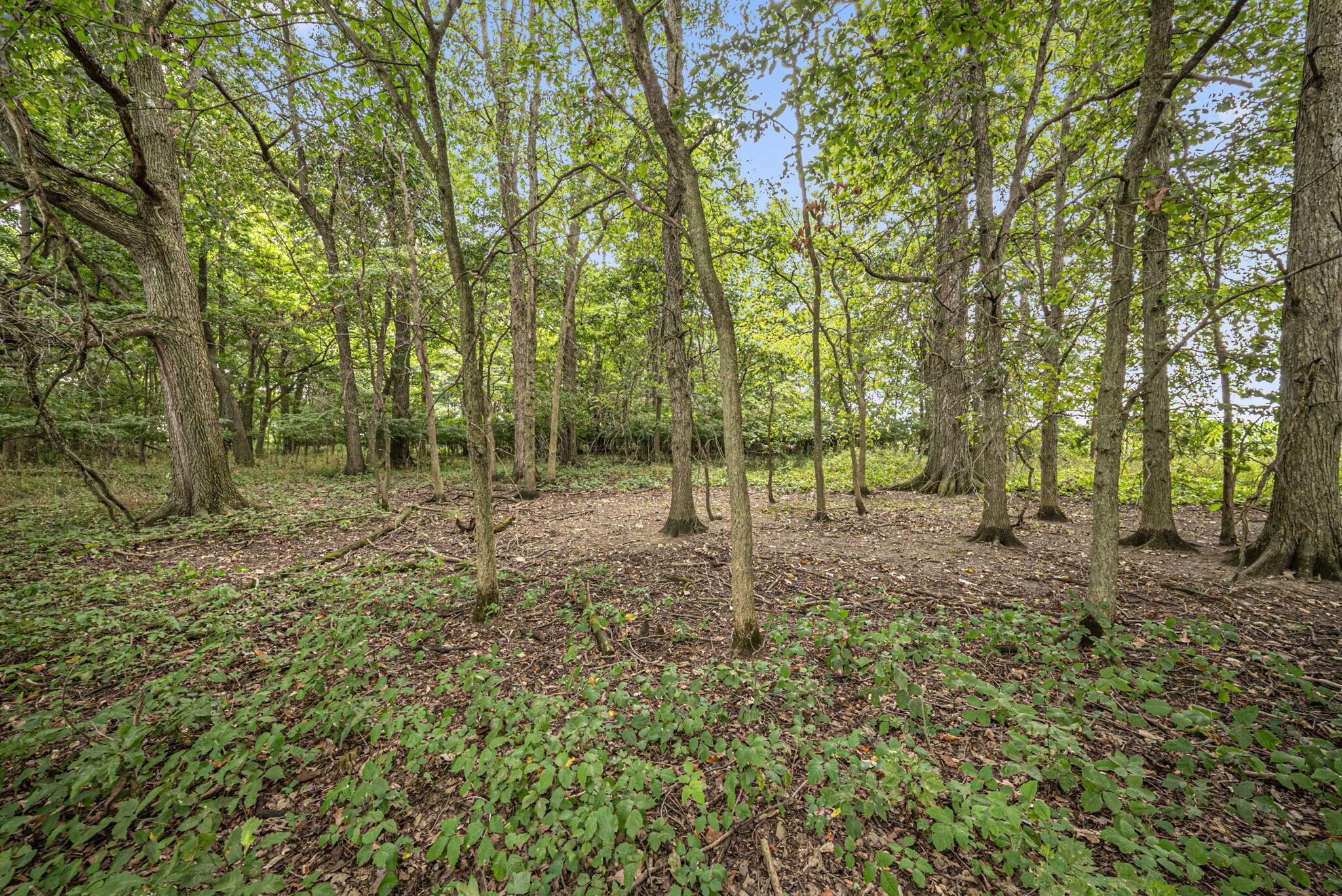 0 Likens Road Property Photo 60
