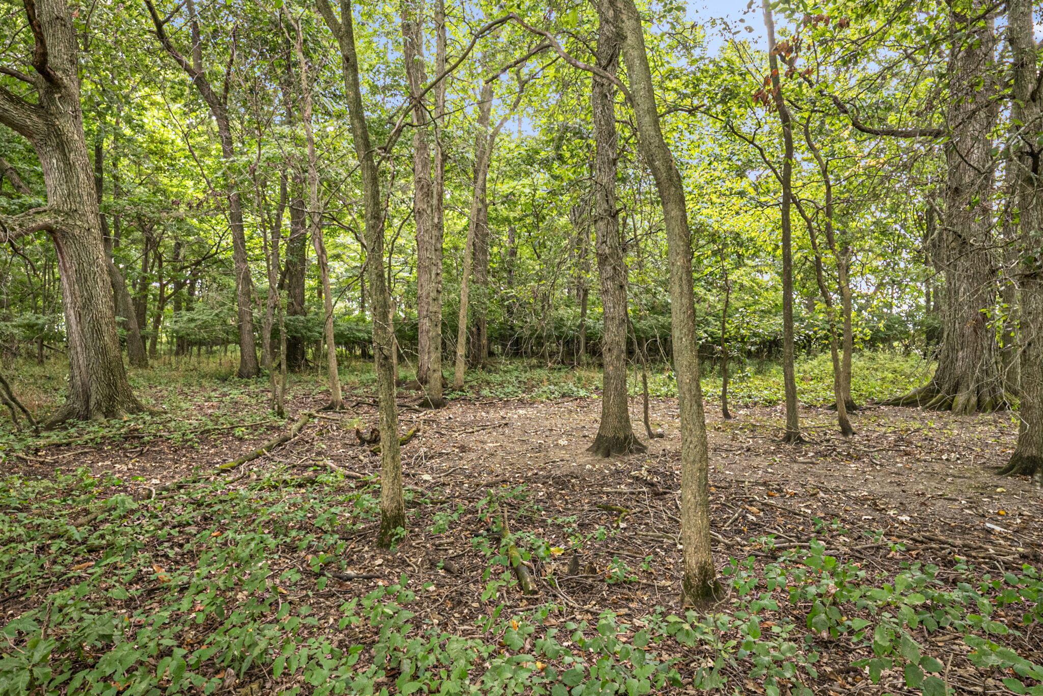 0 Likens Road Property Photo 61