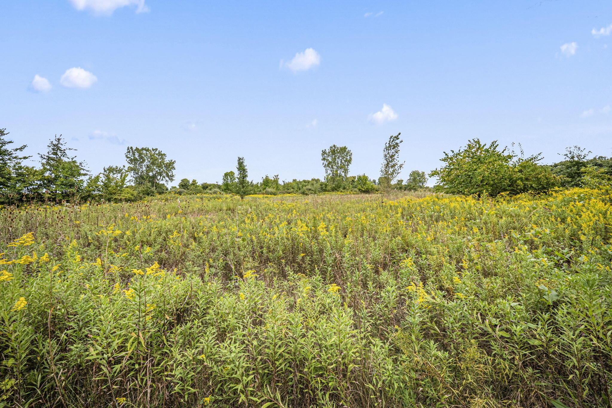 0 Likens Road Property Photo 62