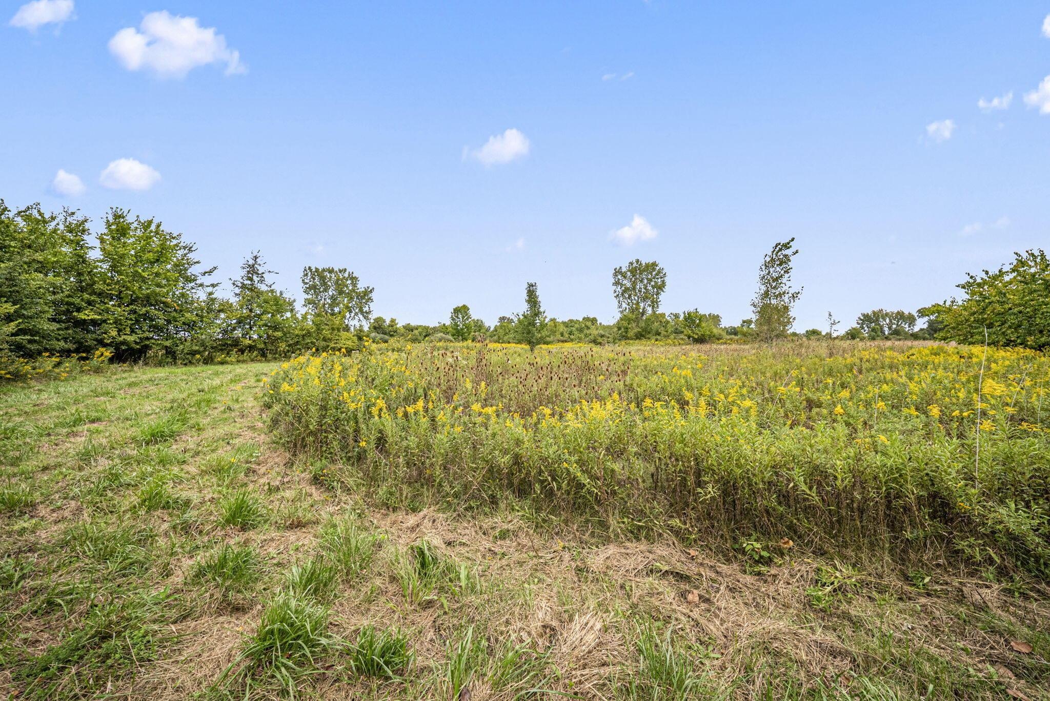 0 Likens Road Property Photo 63