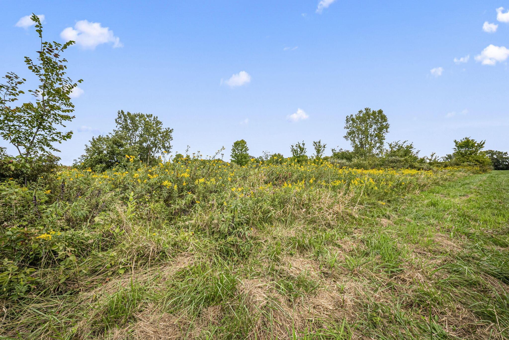 0 Likens Road Property Photo 65