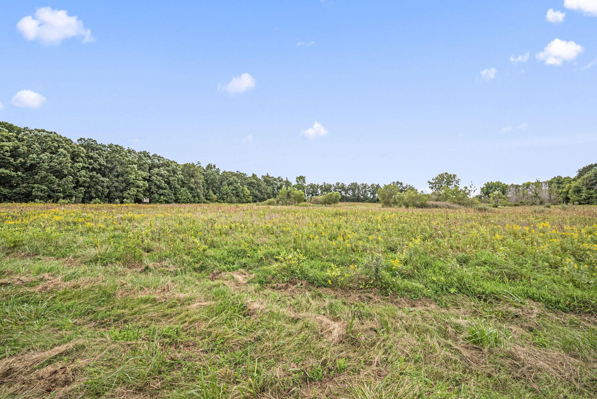 0 Likens Road Property Photo 66