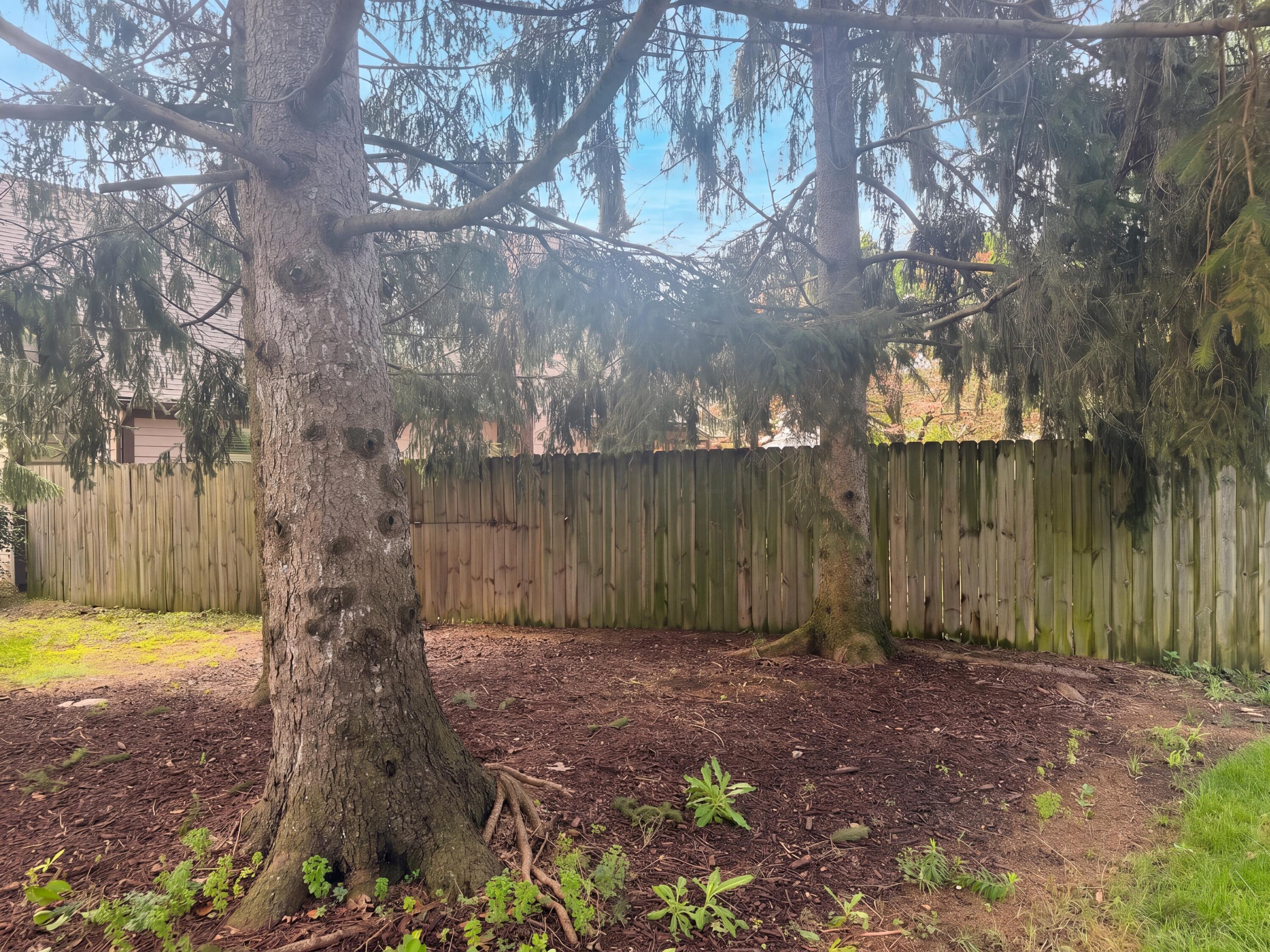 165 Juniper Avenue Property Photo 47