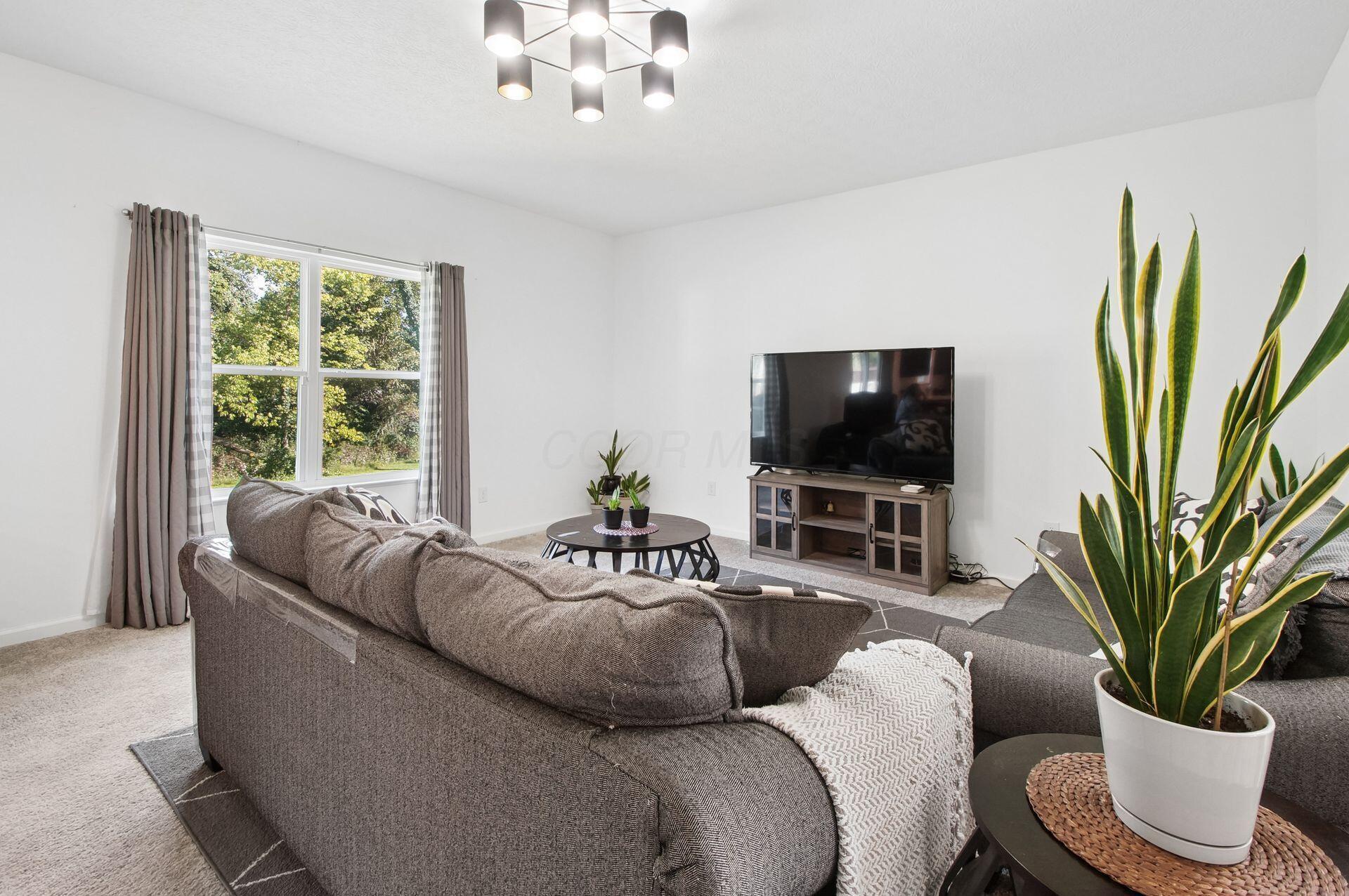 1146 Dornoch Drive Property Photo 6