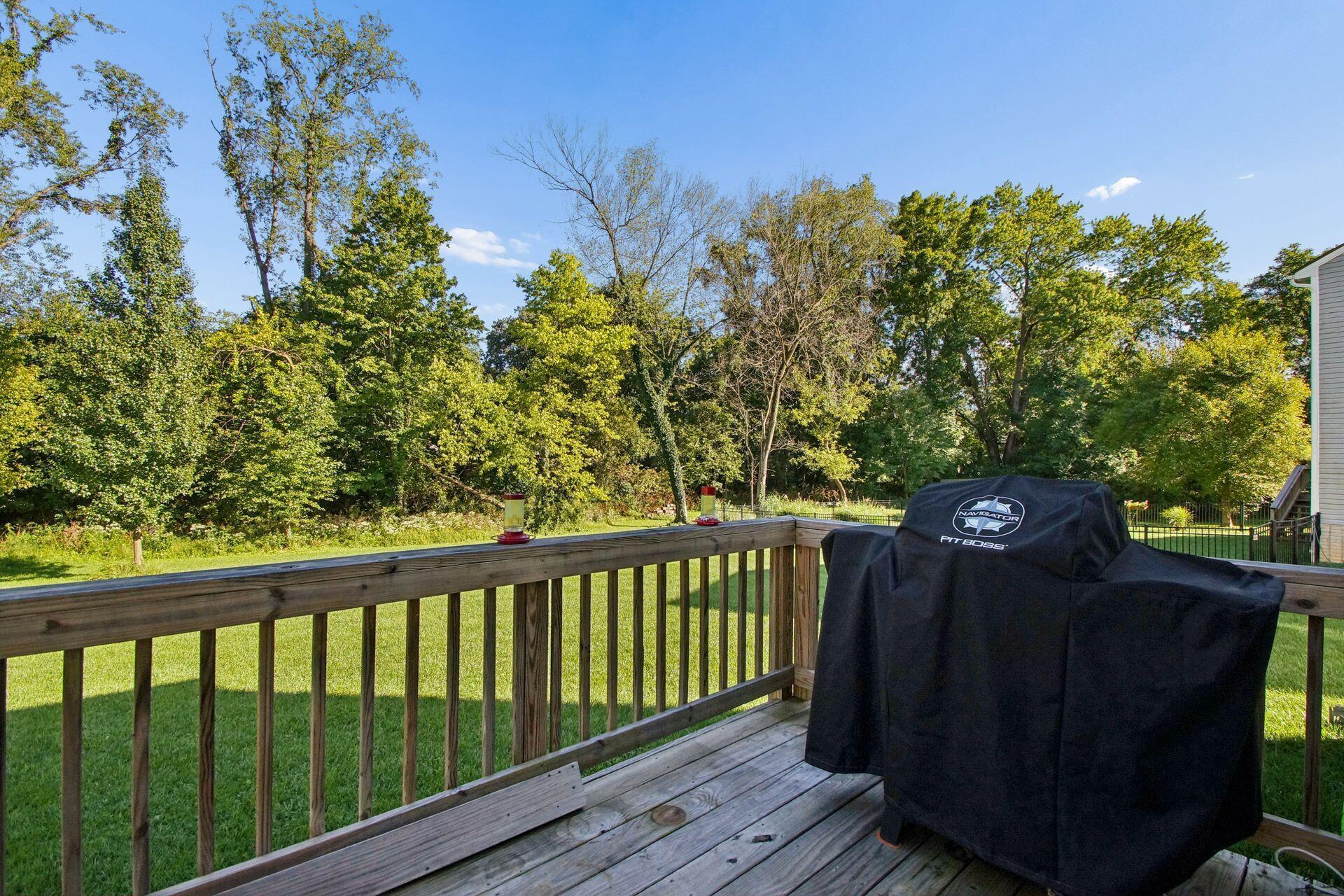 1146 Dornoch Drive Property Photo 19
