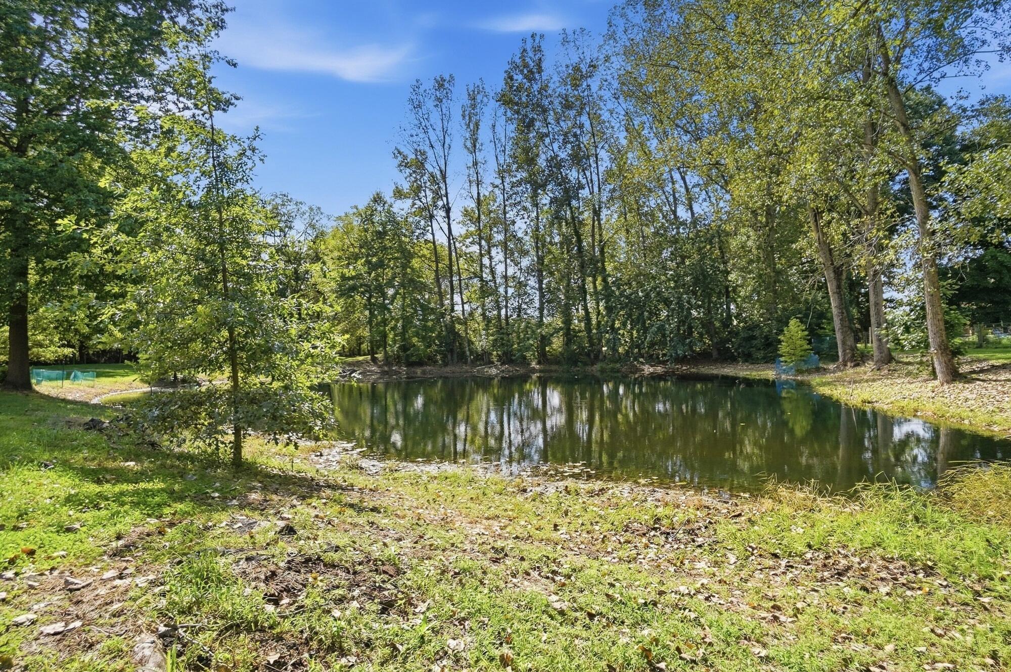 6147 Africa Road Property Photo 56
