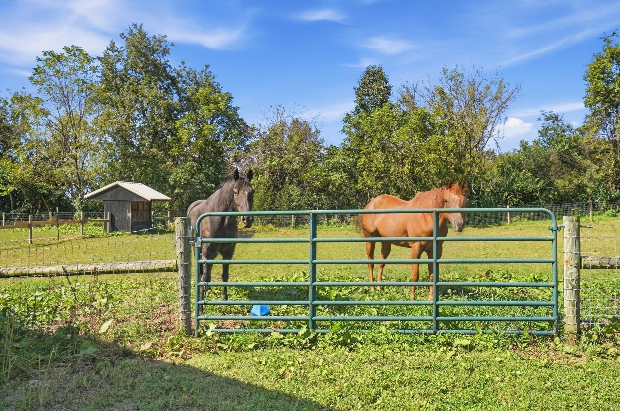 6147 Africa Road Property Photo 61