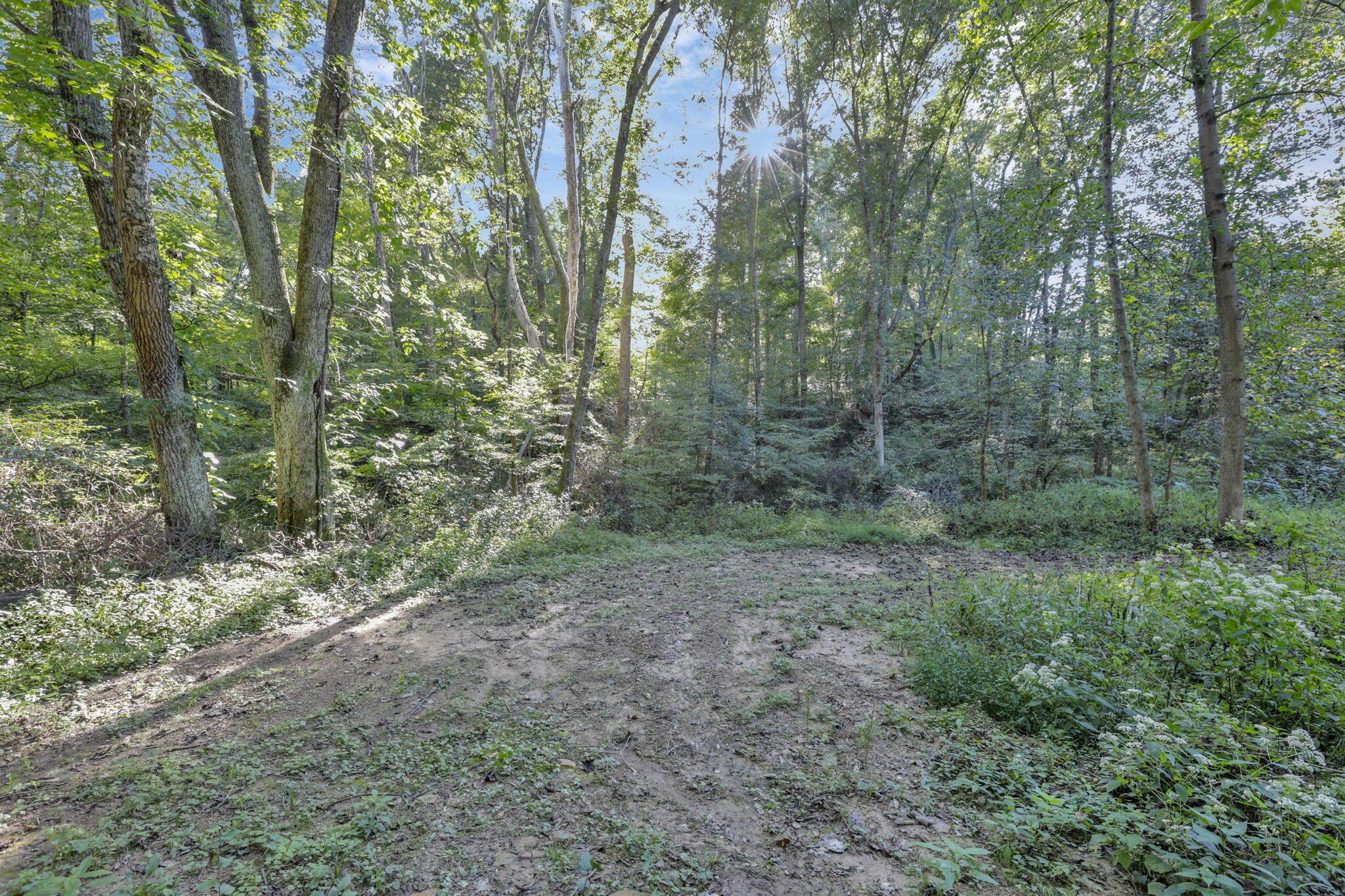 0 Bethel Road Se Property Photo 12