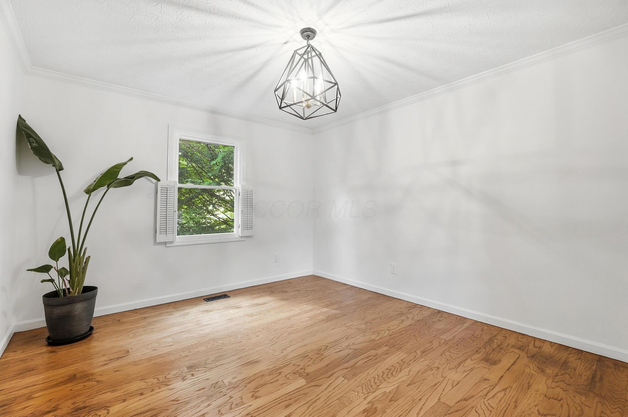 5203 Hickory Grove Property Photo 18