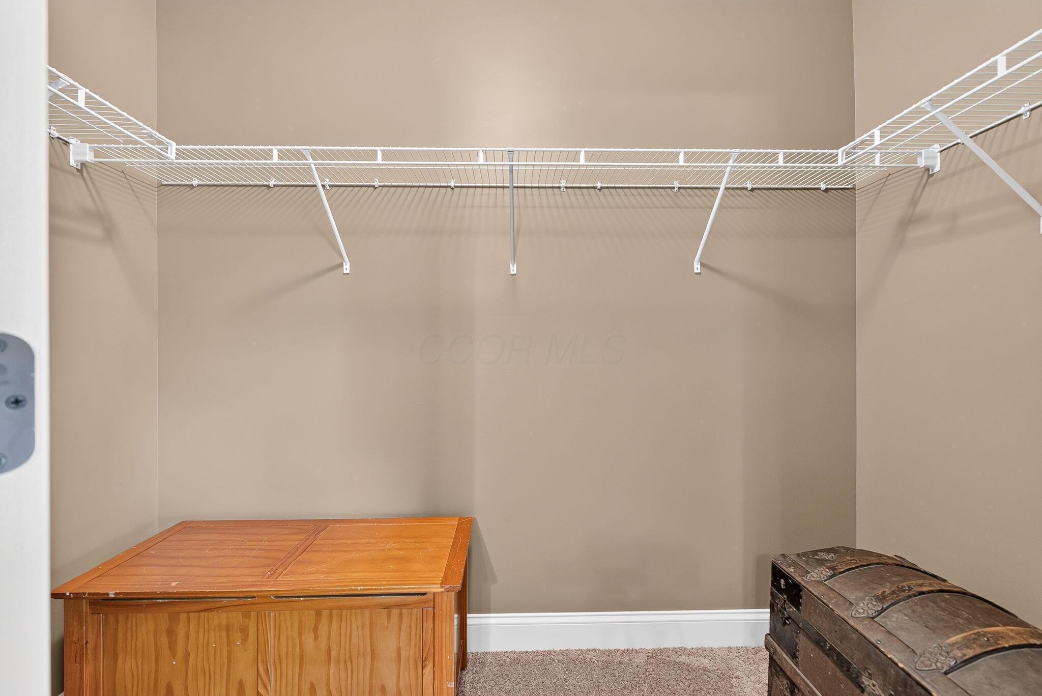 3967 Hickory Rock Drive Property Photo 67