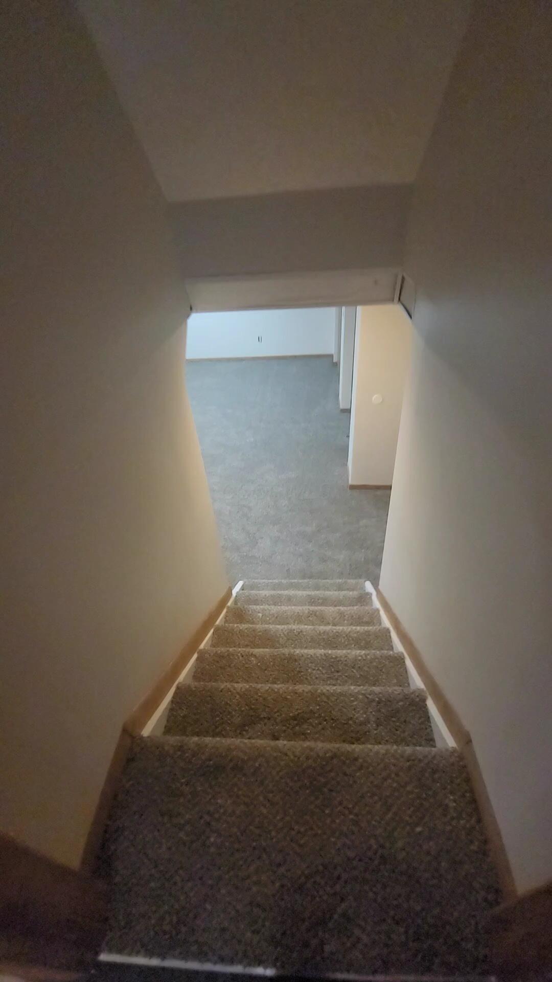 5225 Wolf Run Property Photo 23
