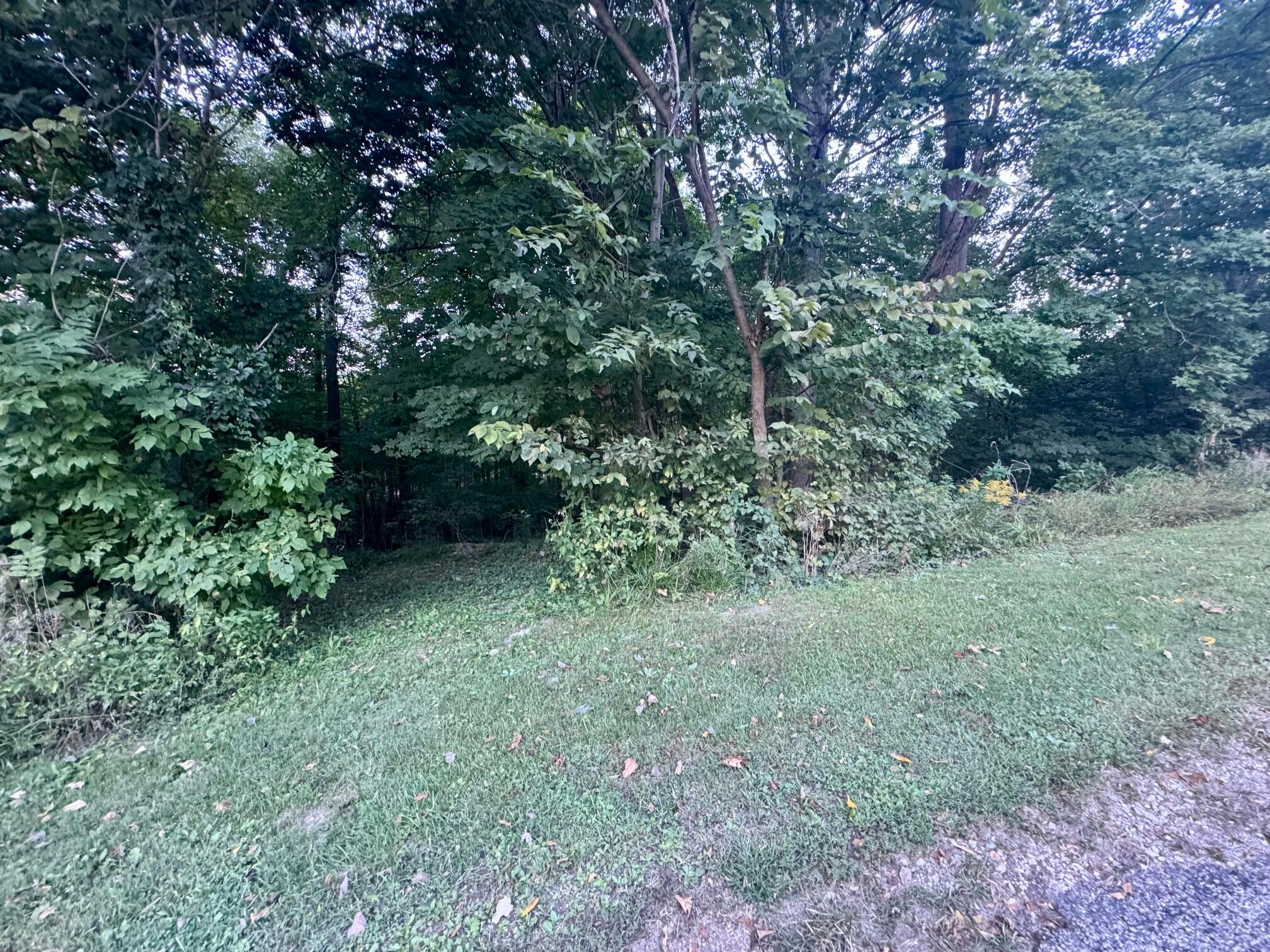 0 Tarkman Drive Property Photo 1