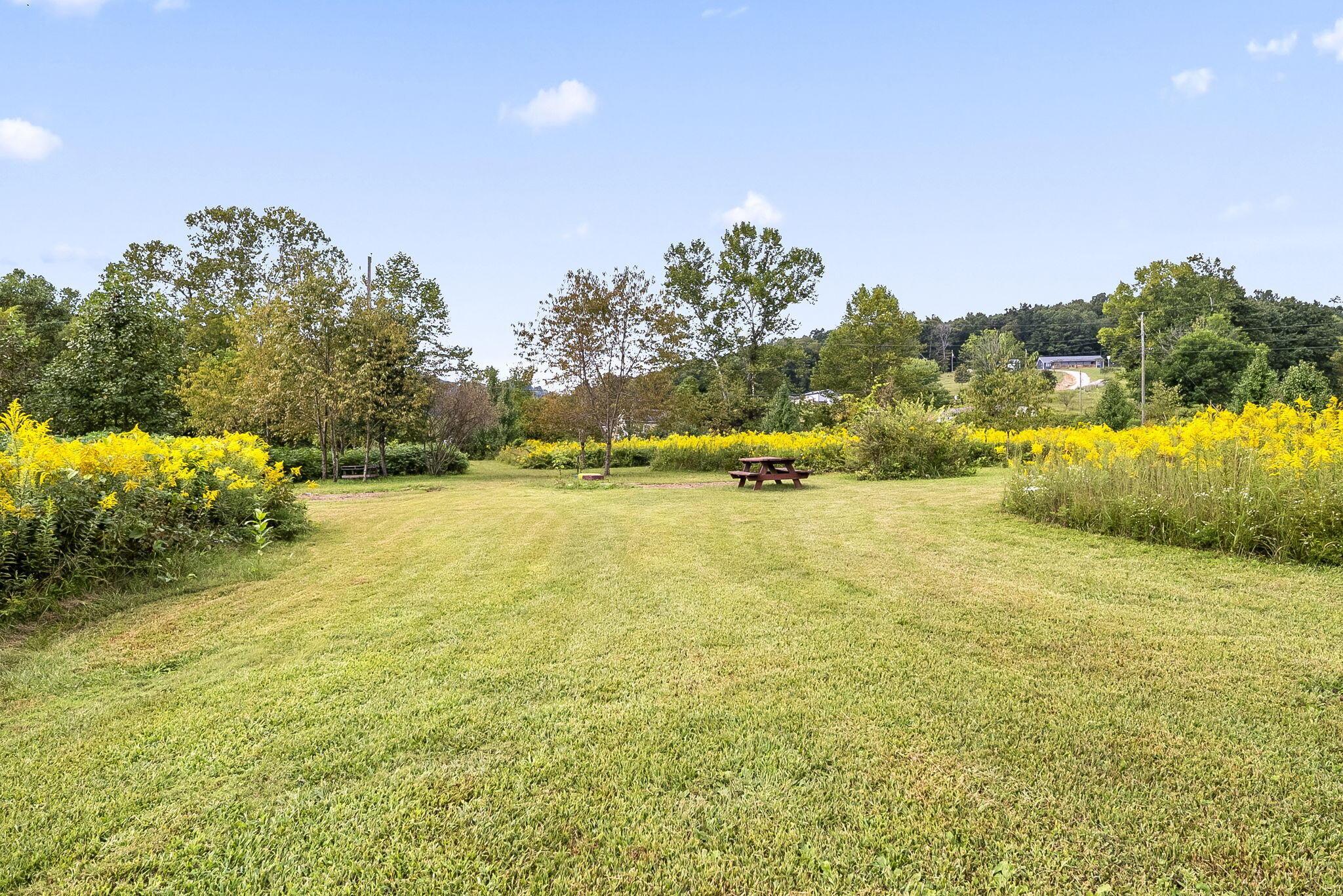 0 Dutch Run Road Property Photo 2