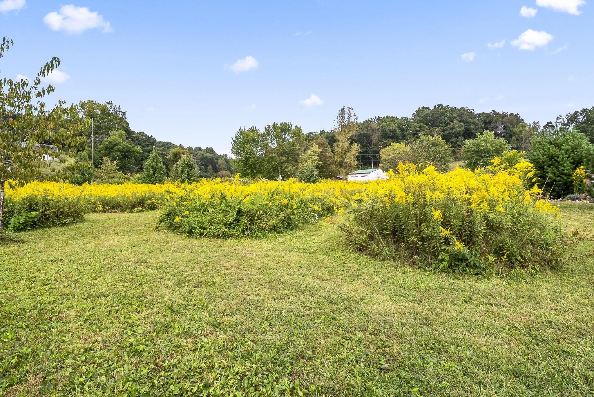 0 Dutch Run Road Property Photo 3