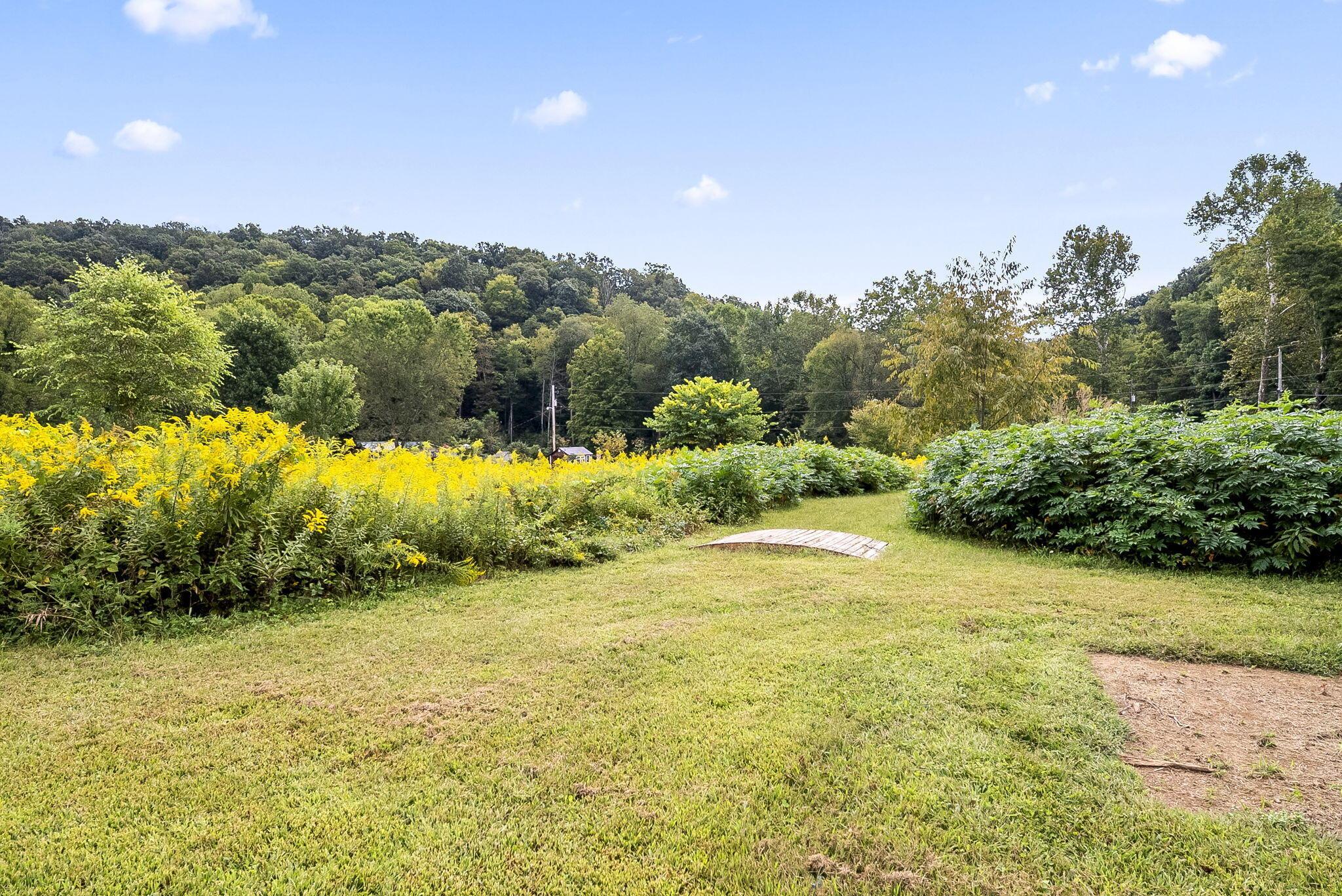 0 Dutch Run Road Property Photo 4