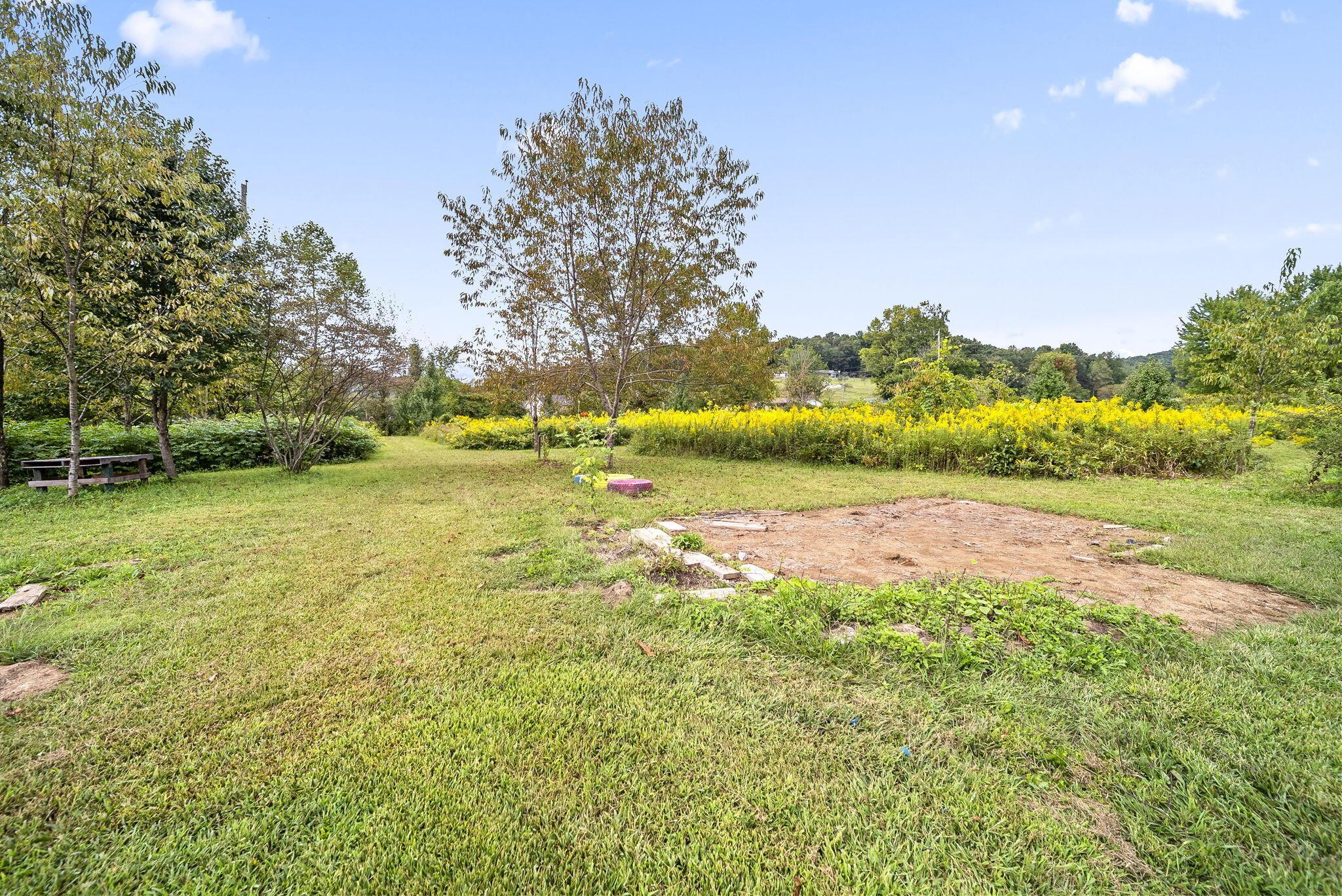 0 Dutch Run Road Property Photo 5