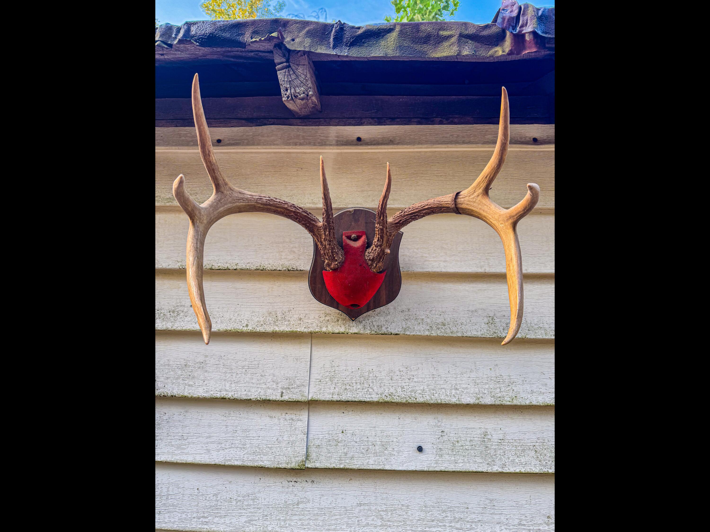 3783 Carrs Run Road Property Photo 18