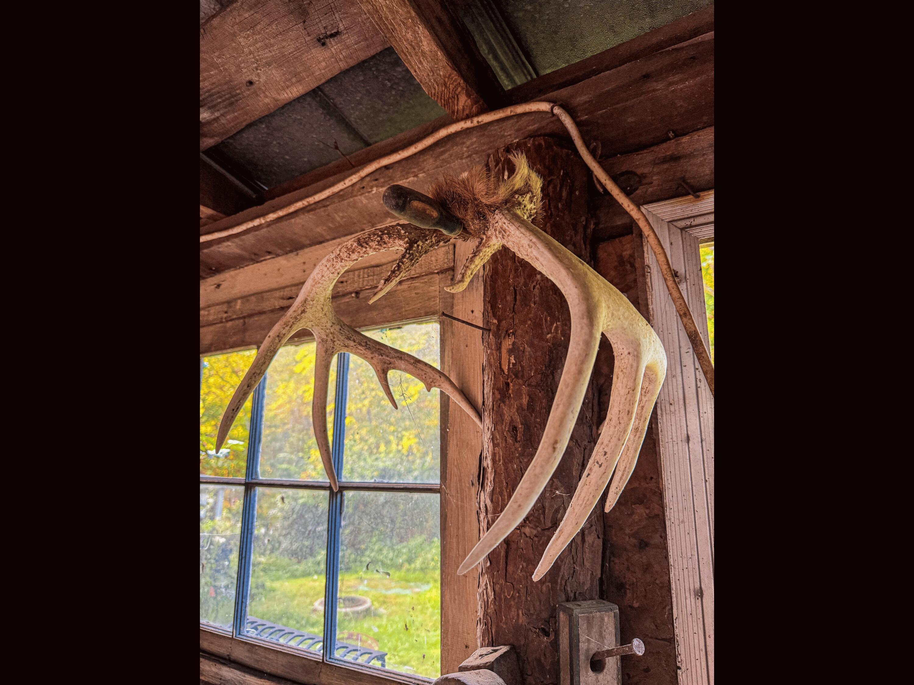 3783 Carrs Run Road Property Photo 20