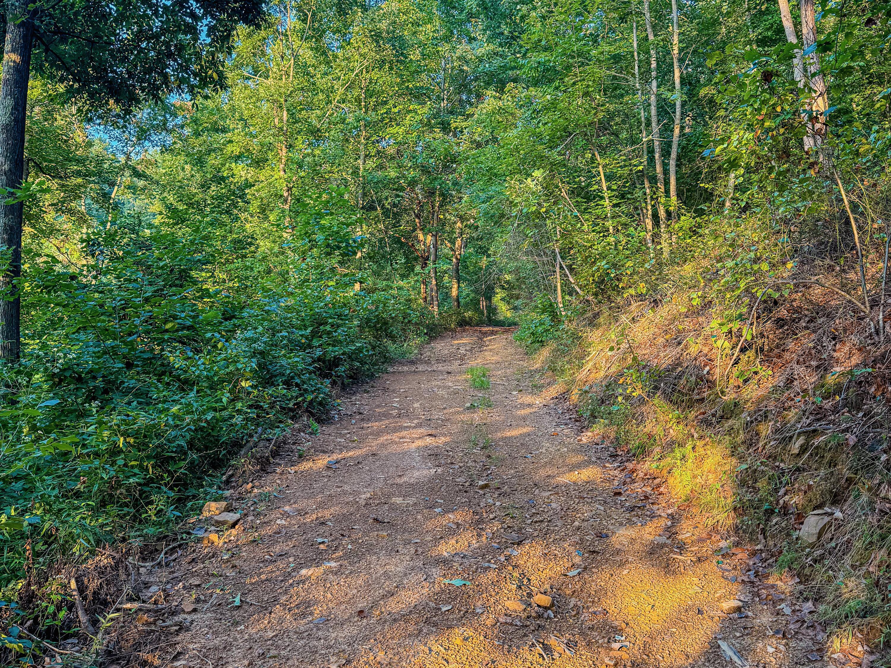 3783 Carrs Run Road Property Photo 25