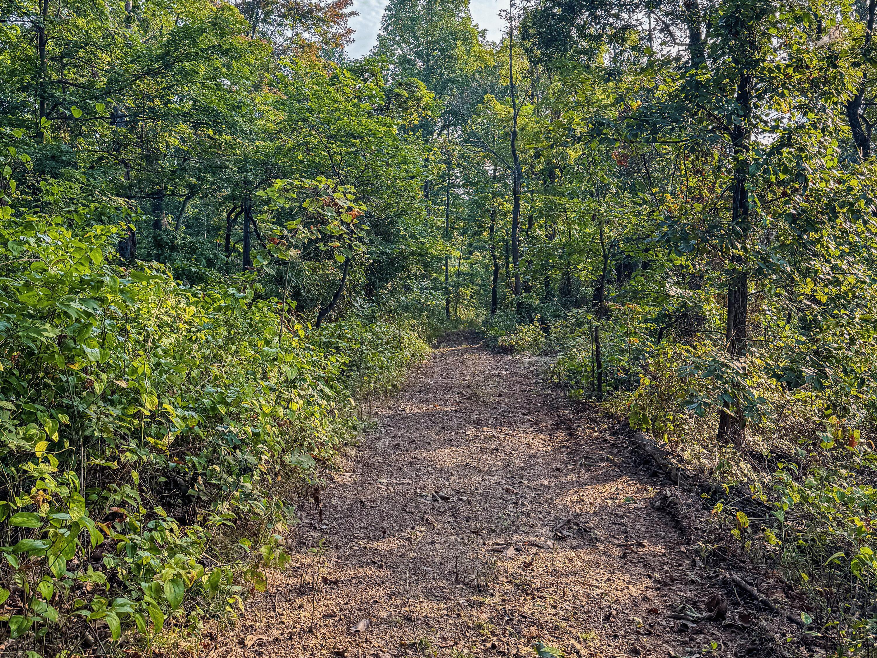 3783 Carrs Run Road Property Photo 26