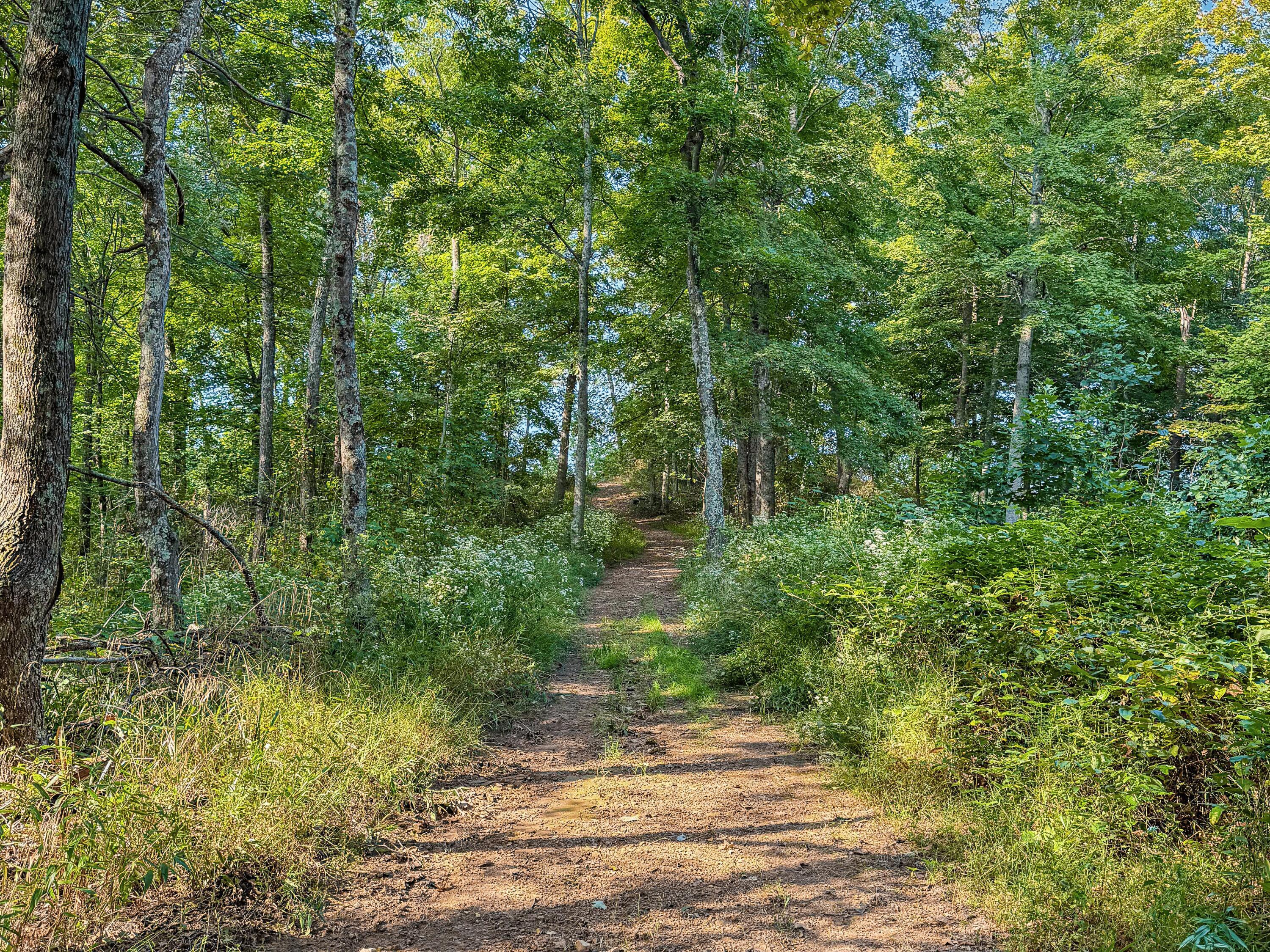 3783 Carrs Run Road Property Photo 27