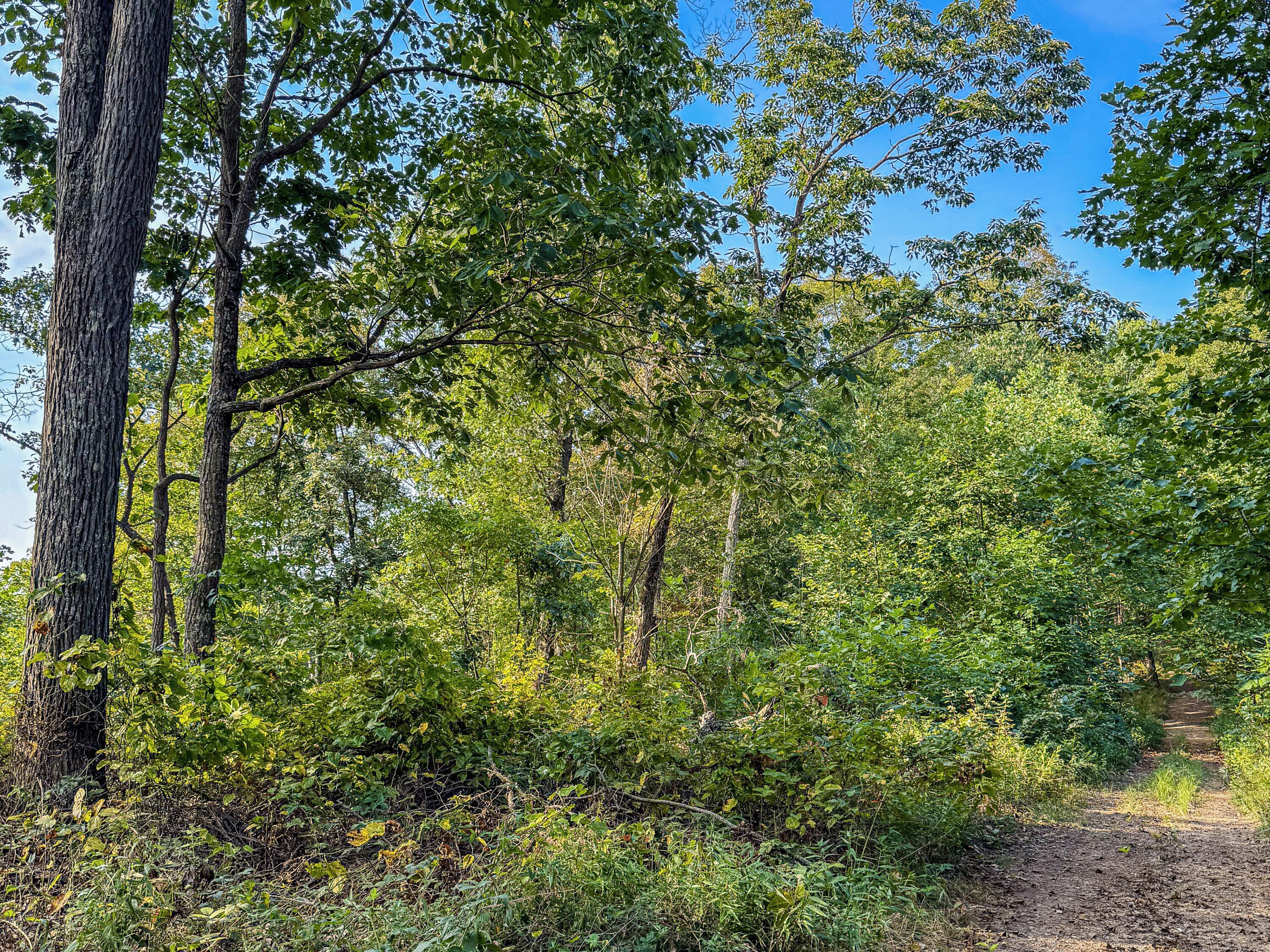 3783 Carrs Run Road Property Photo 30