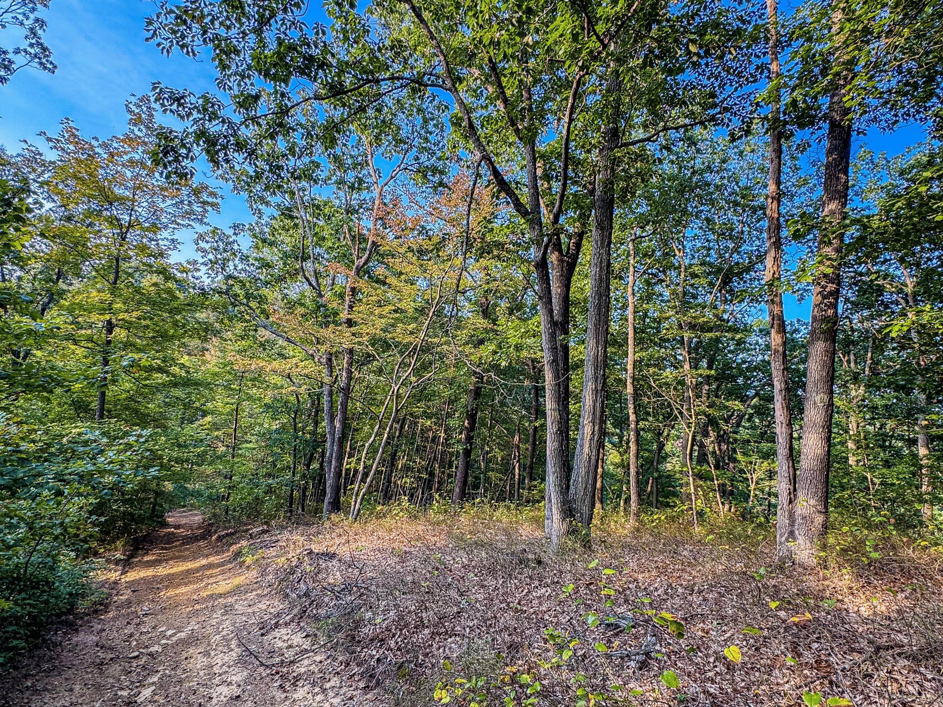 3783 Carrs Run Road Property Photo 31