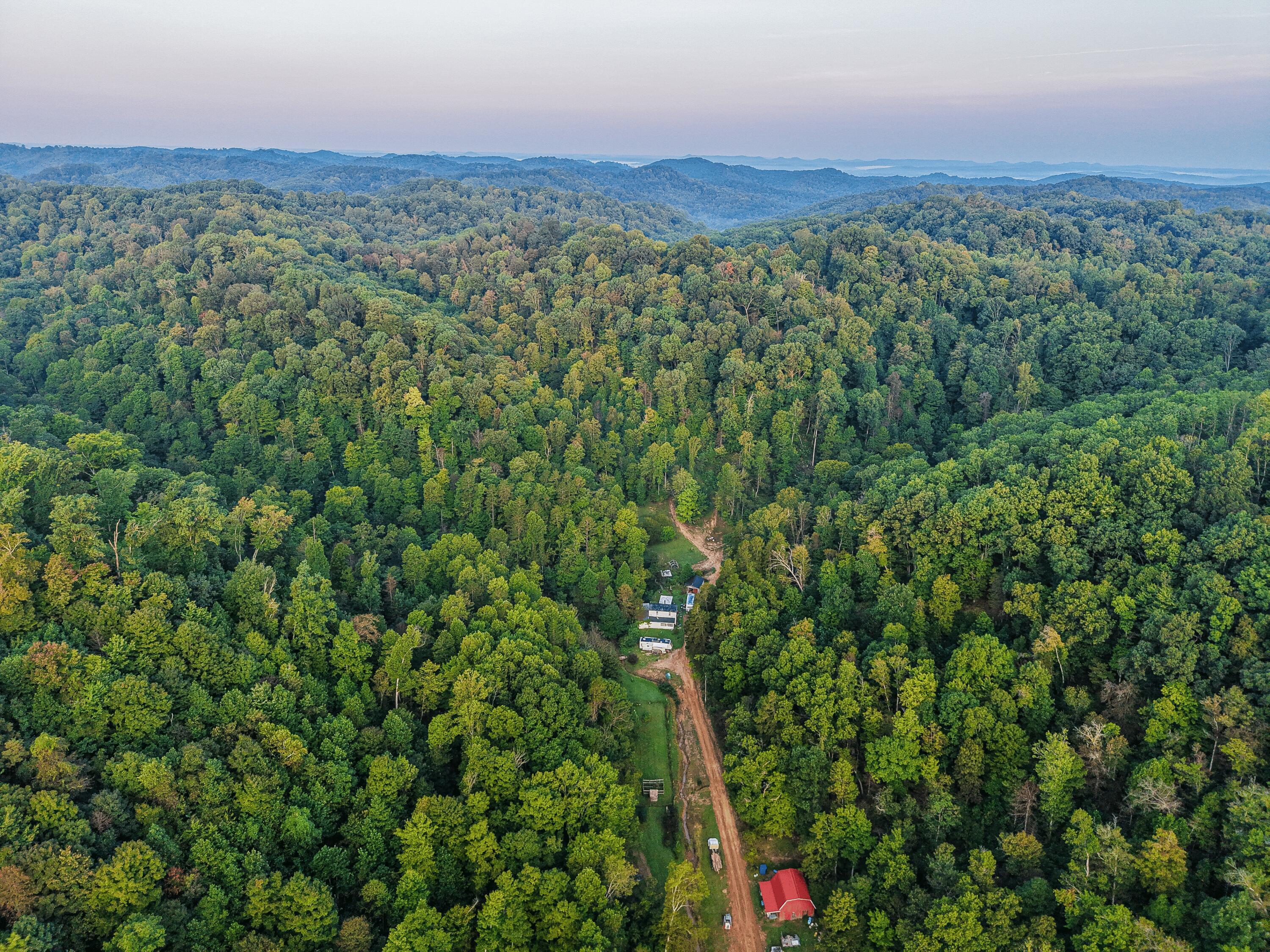 3783 Carrs Run Road Property Photo 38